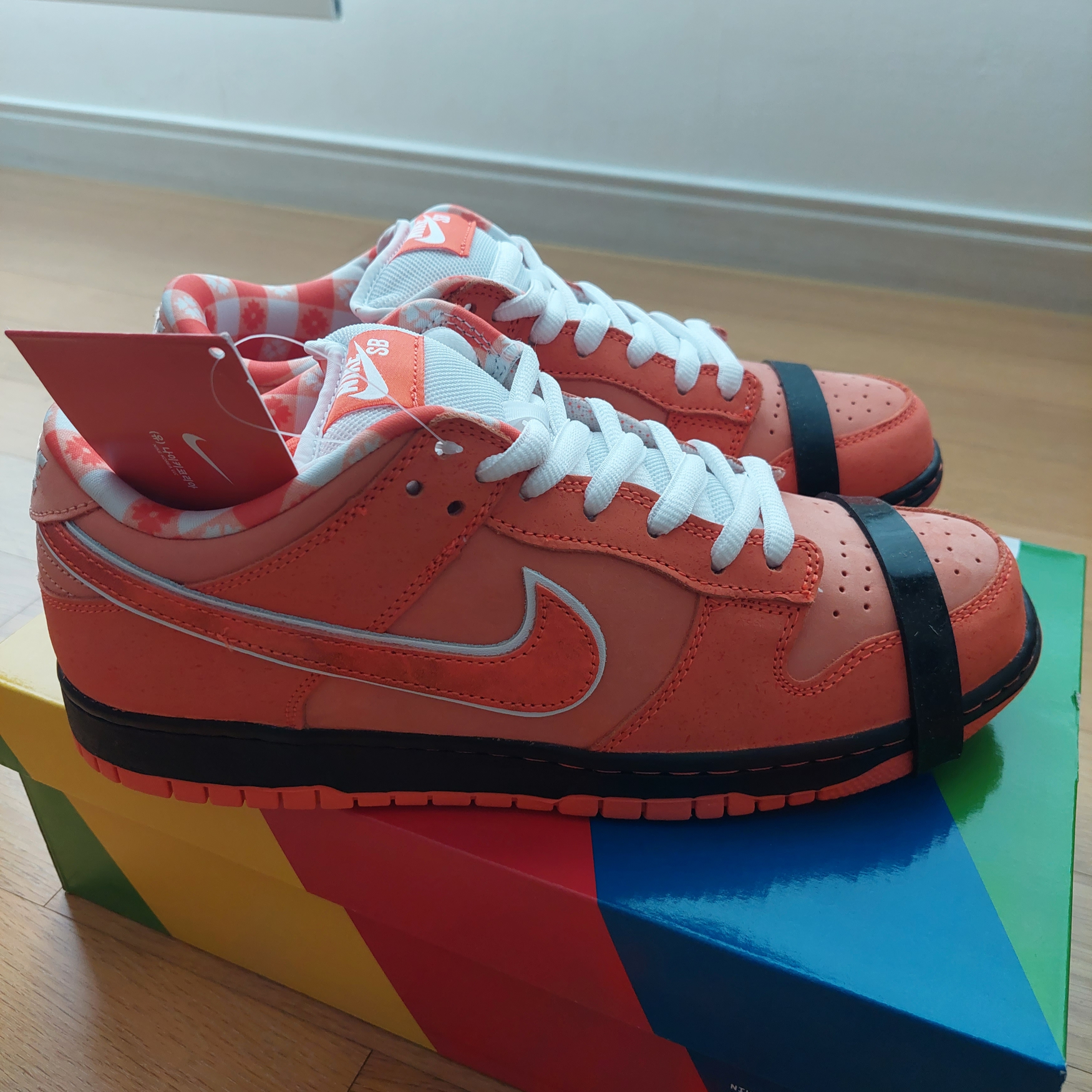 Nike x Concepts SB Dunk Low Orange Lobster (Regular Box) 착용 스타일 - 2