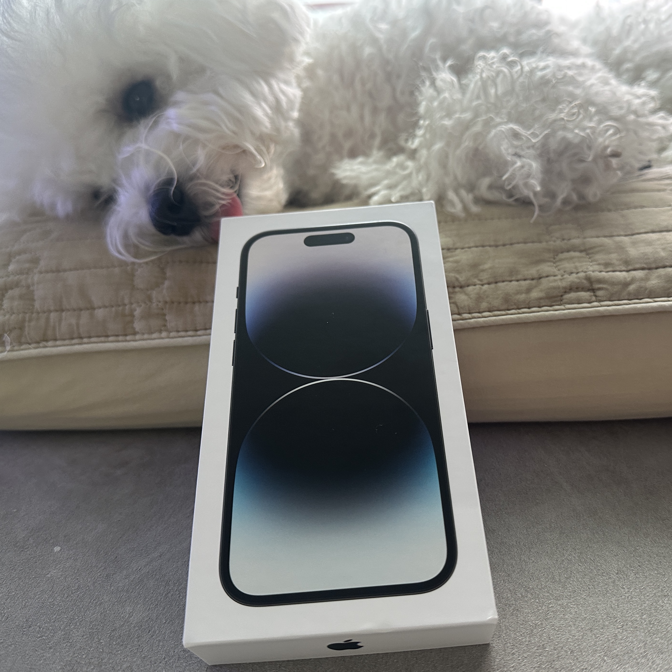 Apple iPhone 14 Pro 128GB Space Black (Korean Ver.) 착용 스타일