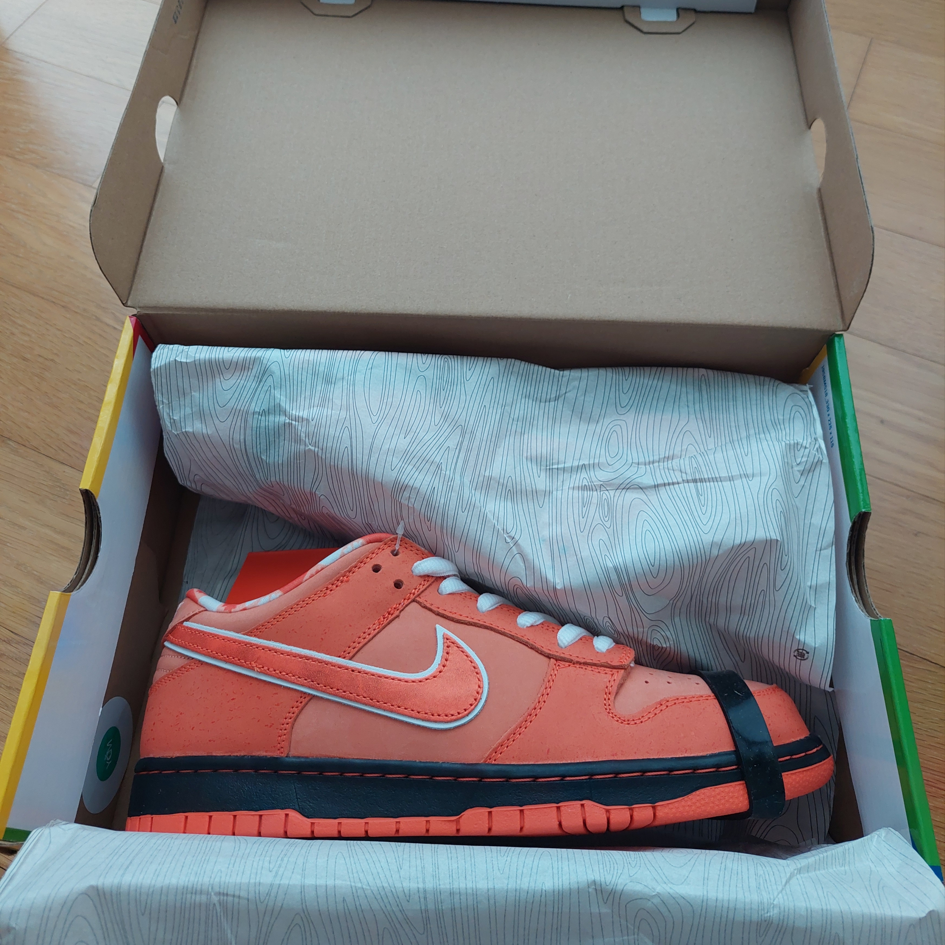 Nike x Concepts SB Dunk Low Orange Lobster (Regular Box) 착용 스타일 - 1