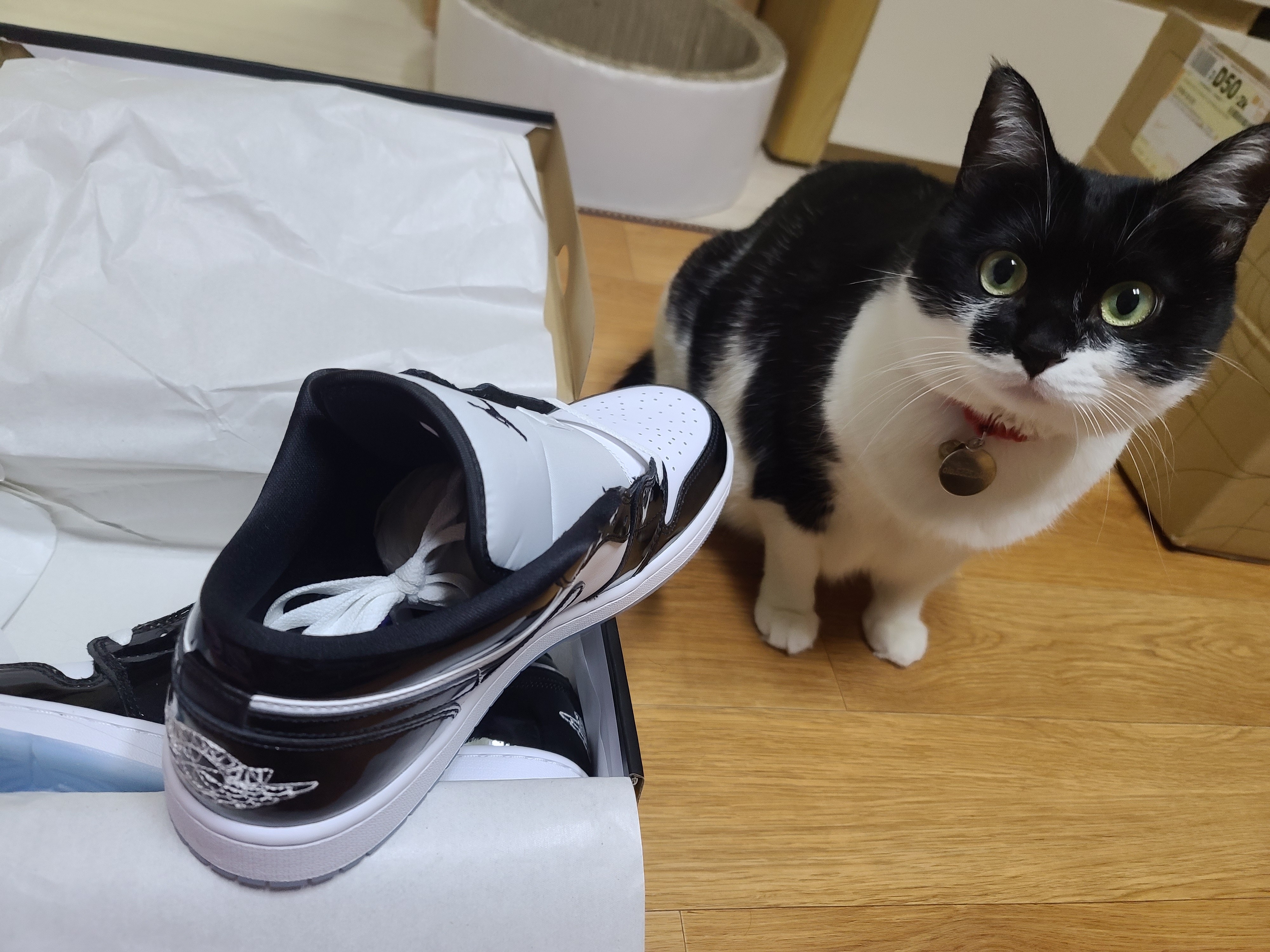Jordan 1 Low SE Concord 착용 스타일 - 1