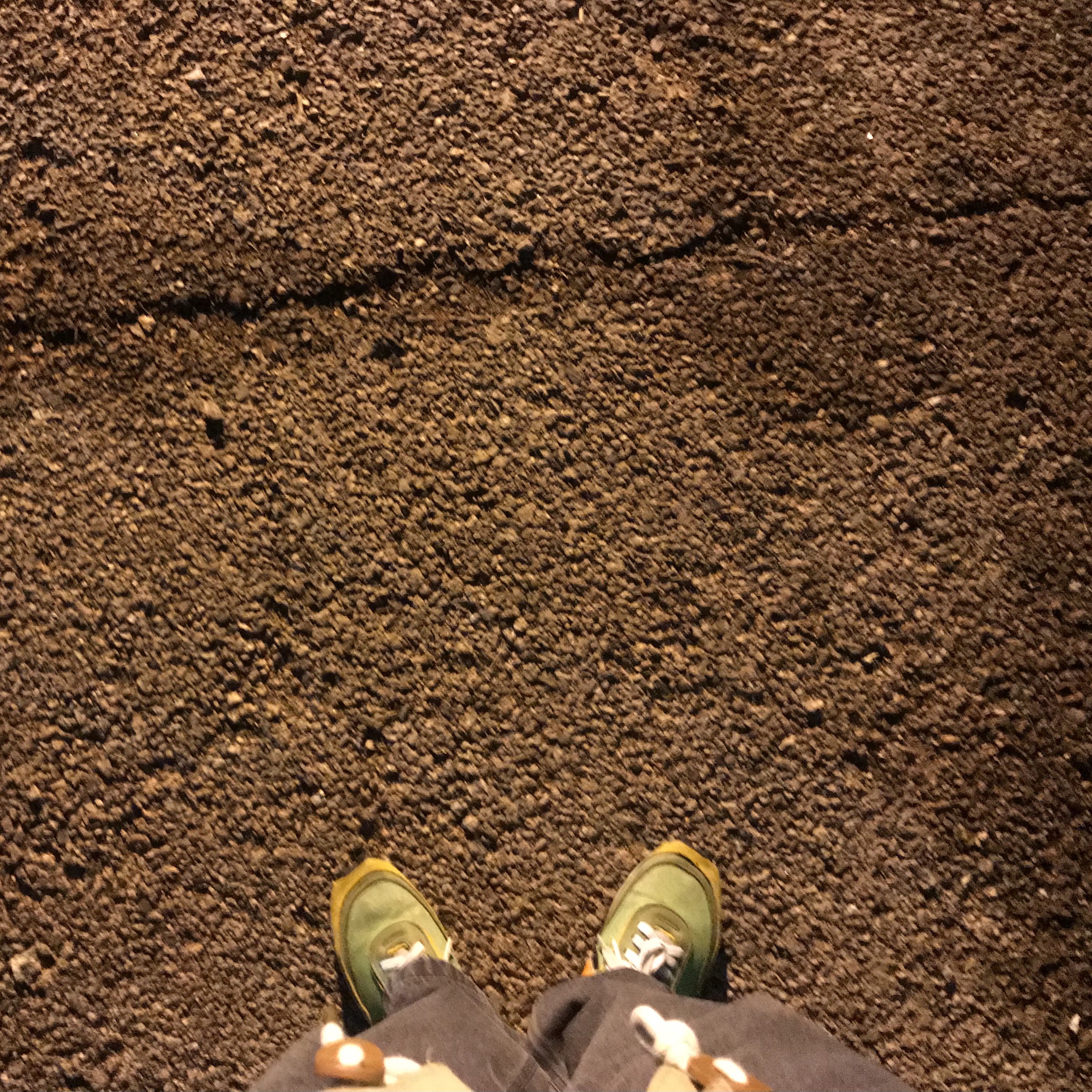 Nike x Sacai LDWaffle Green Multi 착용 스타일