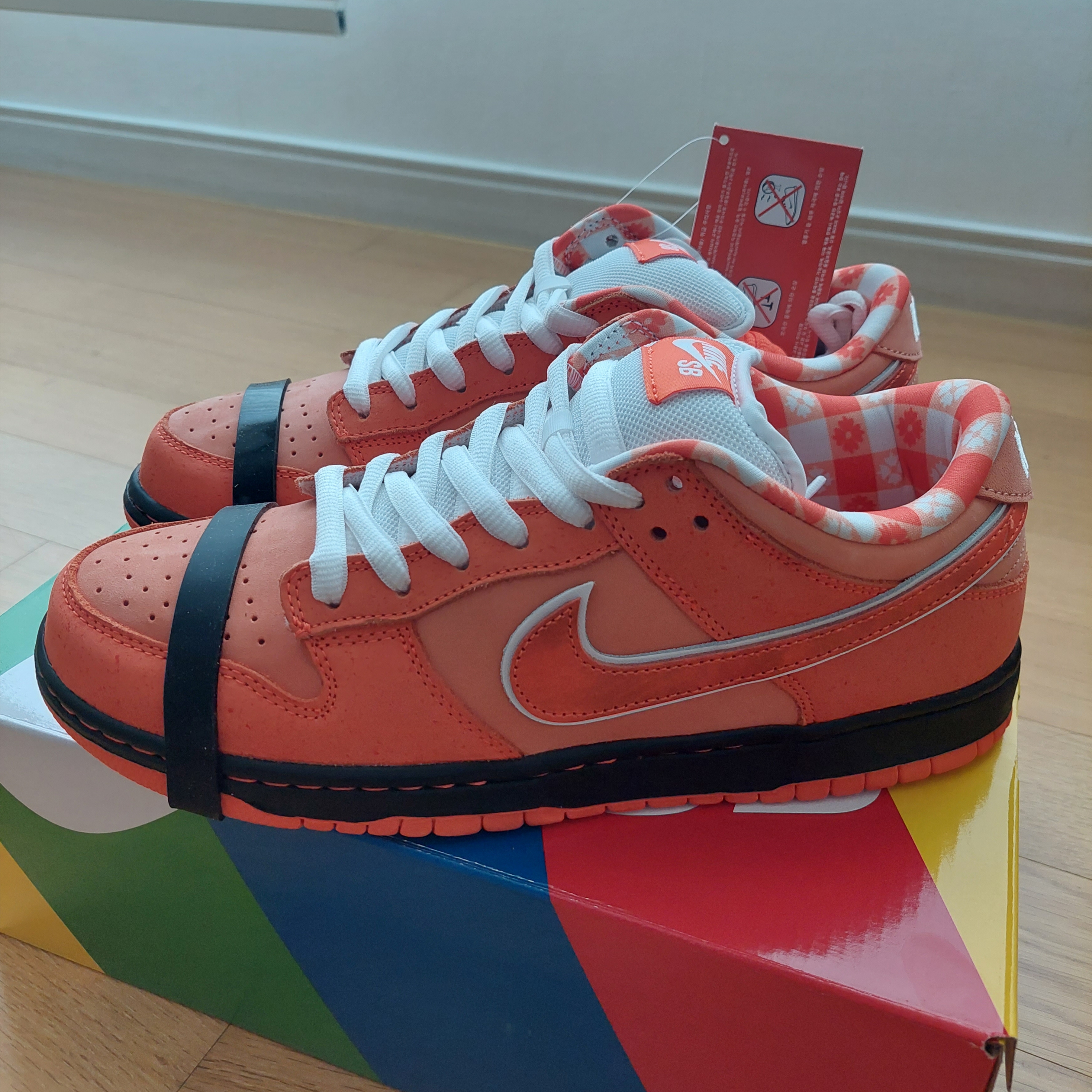 Nike x Concepts SB Dunk Low Orange Lobster (Regular Box) 착용 스타일 - 4
