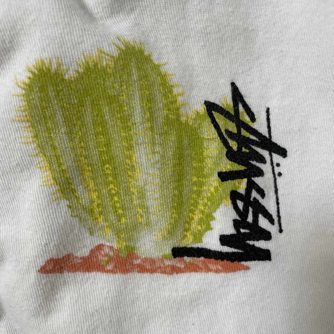 Stussy Desert Bloom T-Shirt White 착용 스타일 - 2