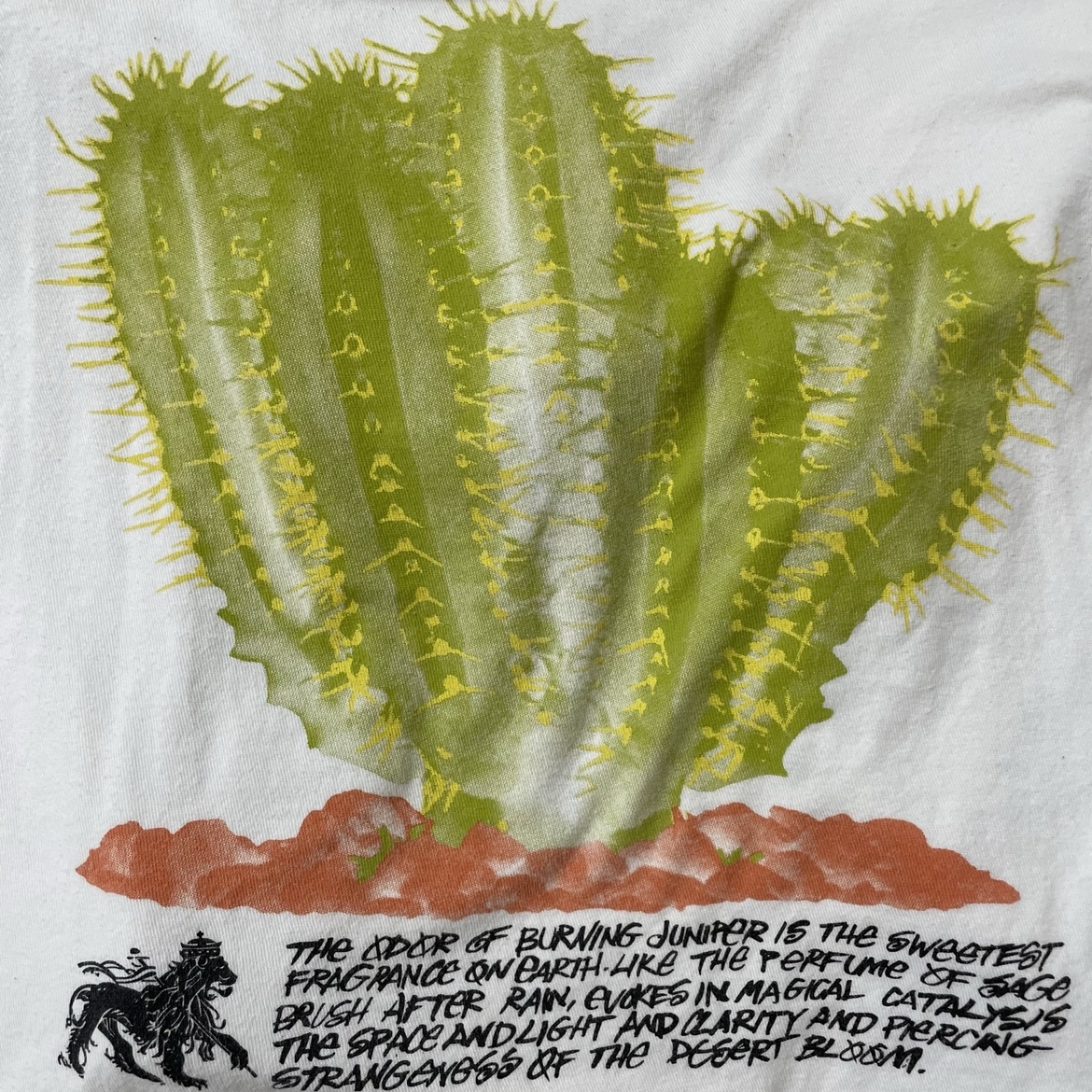 Stussy Desert Bloom T-Shirt White 착용 스타일 - 1