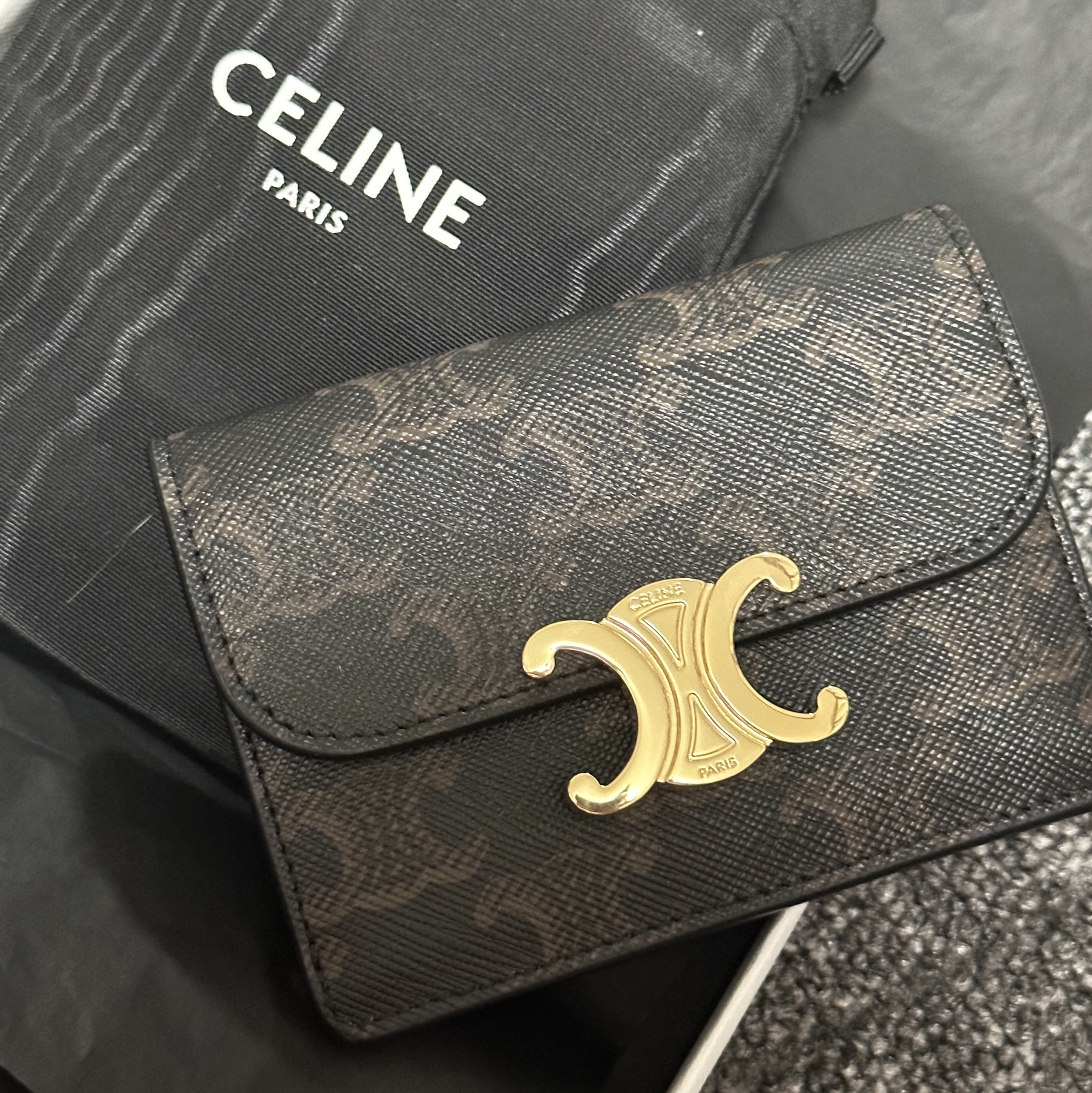 Celine Card Holder with Flap in Triomphe Canvas Tan 착용 스타일