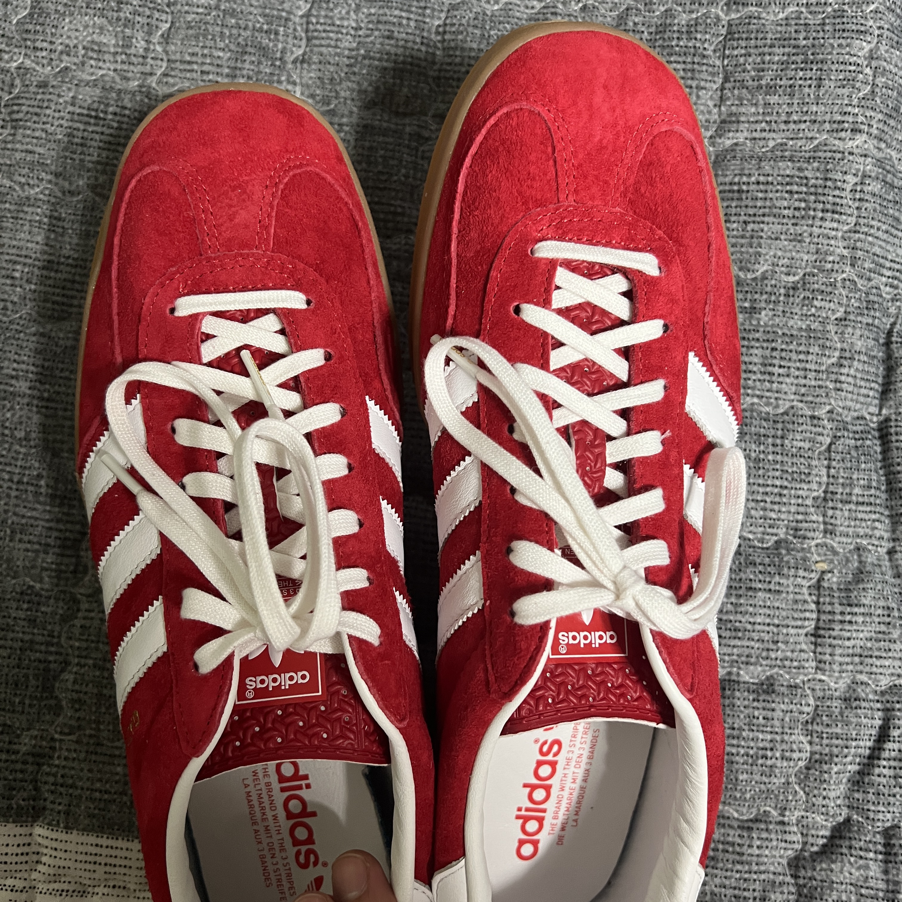 Adidas Gazelle Indoor Scarlet 착용 스타일
