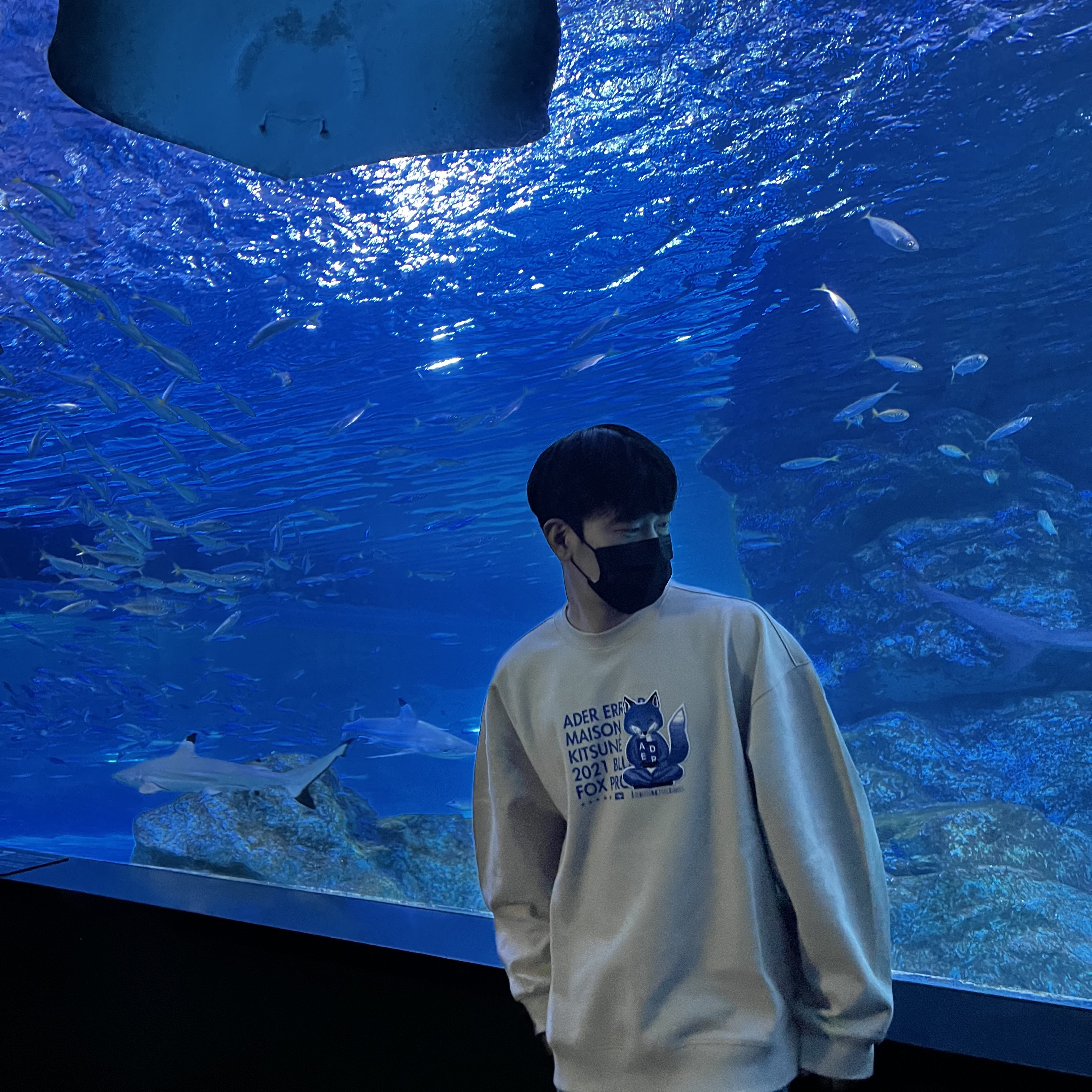 Maison Kitsune x Ader Error Meditation Fox Sweatshirt Ivory 착용 스타일