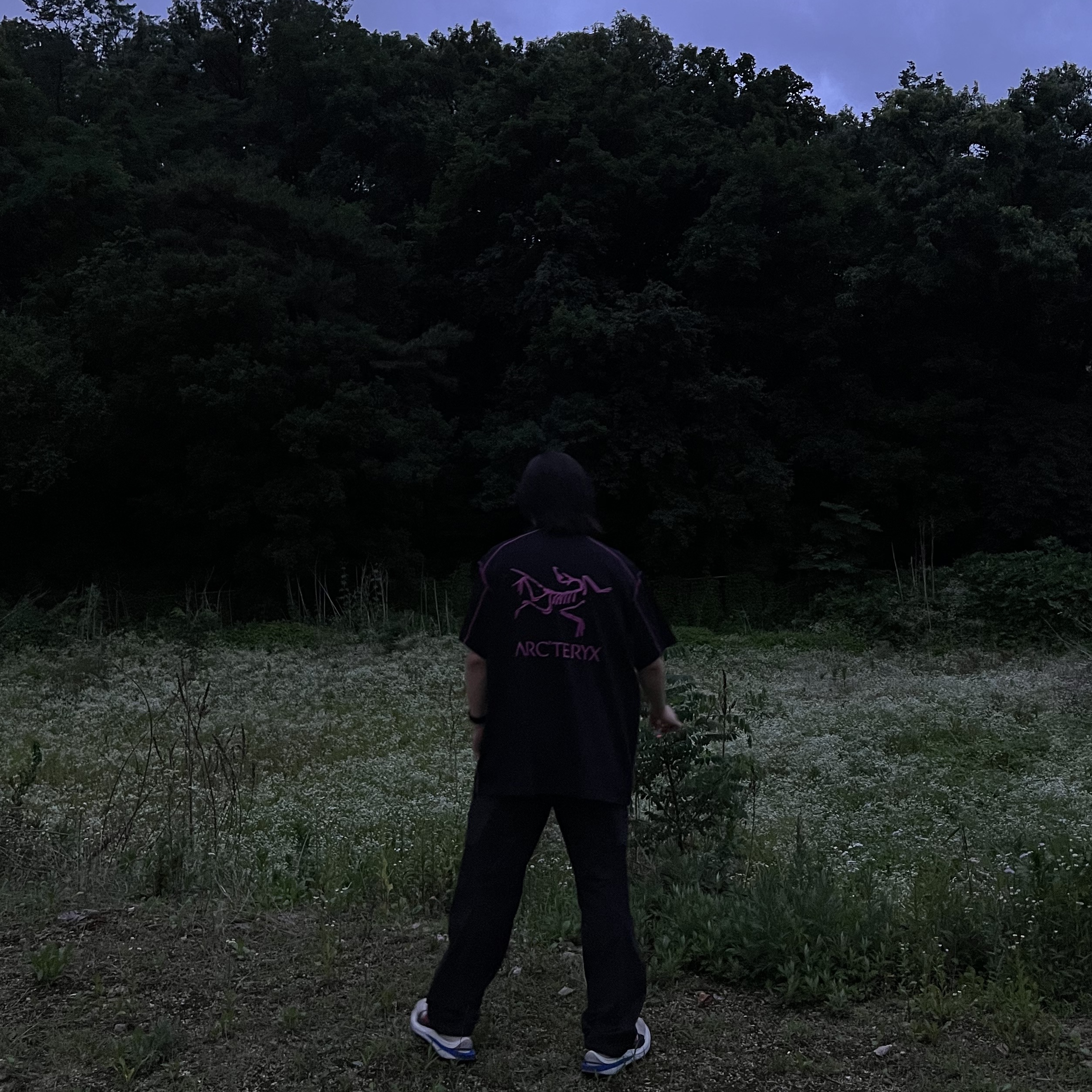 Arc'teryx System A Copal SS Bird T-Shirt Black Ultra Violet, Arc'teryx System A Paltz Cargo Pants Black Ash 착용 스타일 - 1