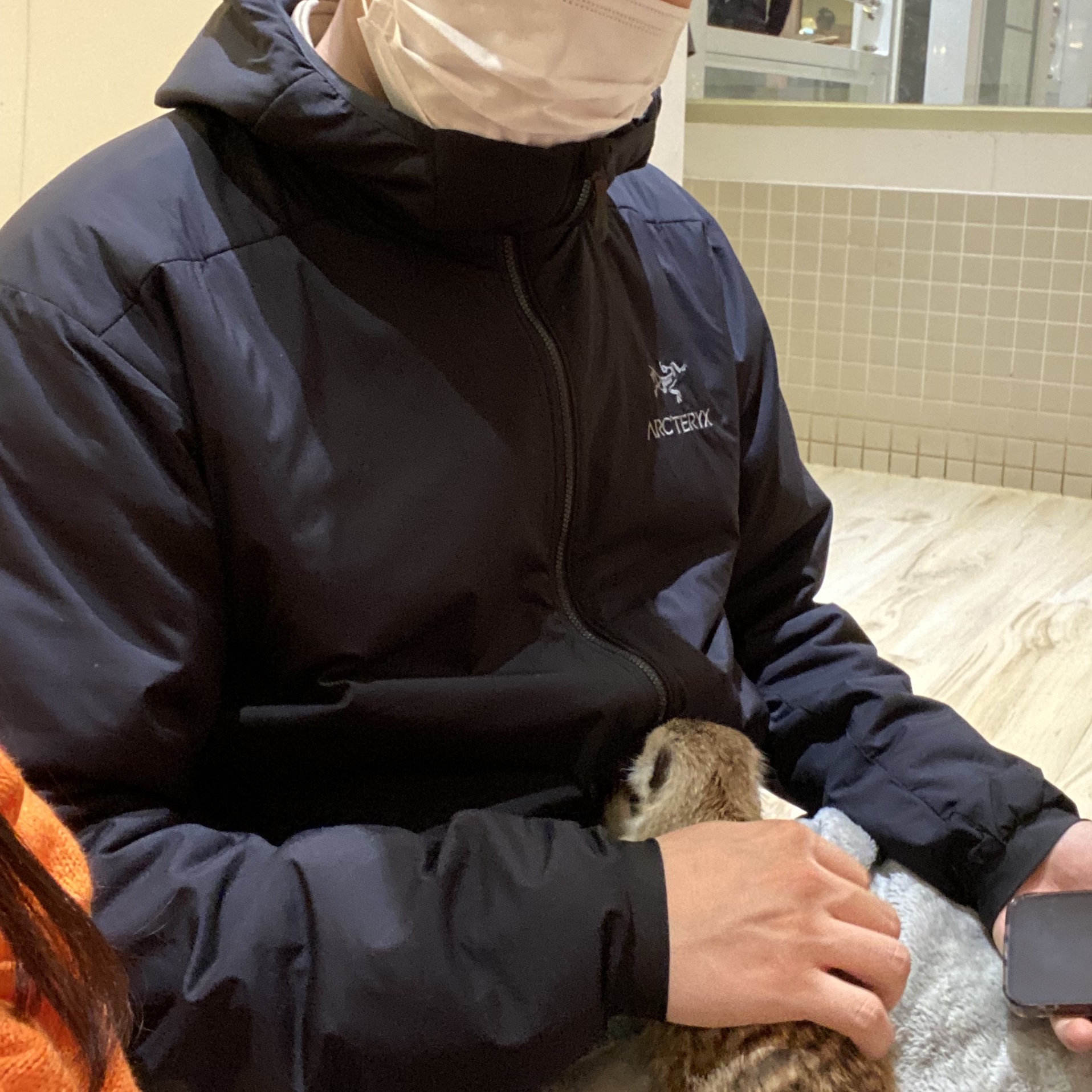 Arc'teryx Atom LT Hoody Black 착용 스타일