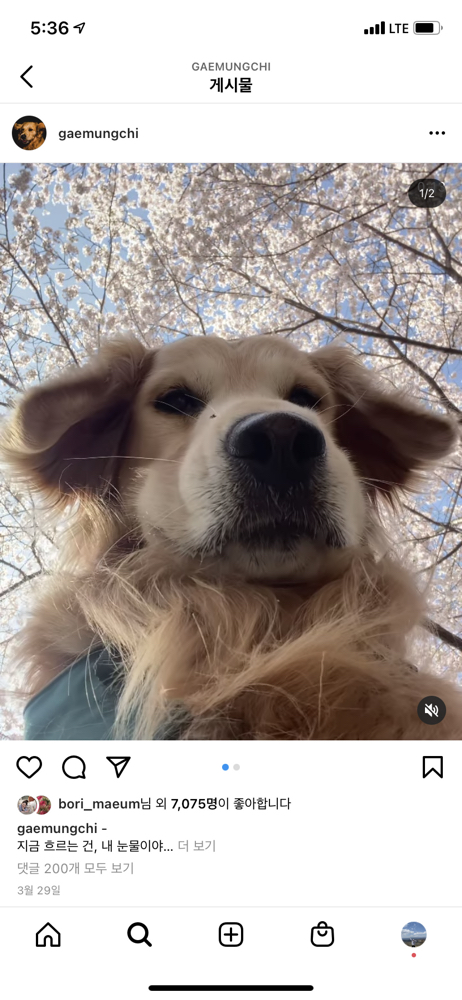 KREAM 프로필 이미지