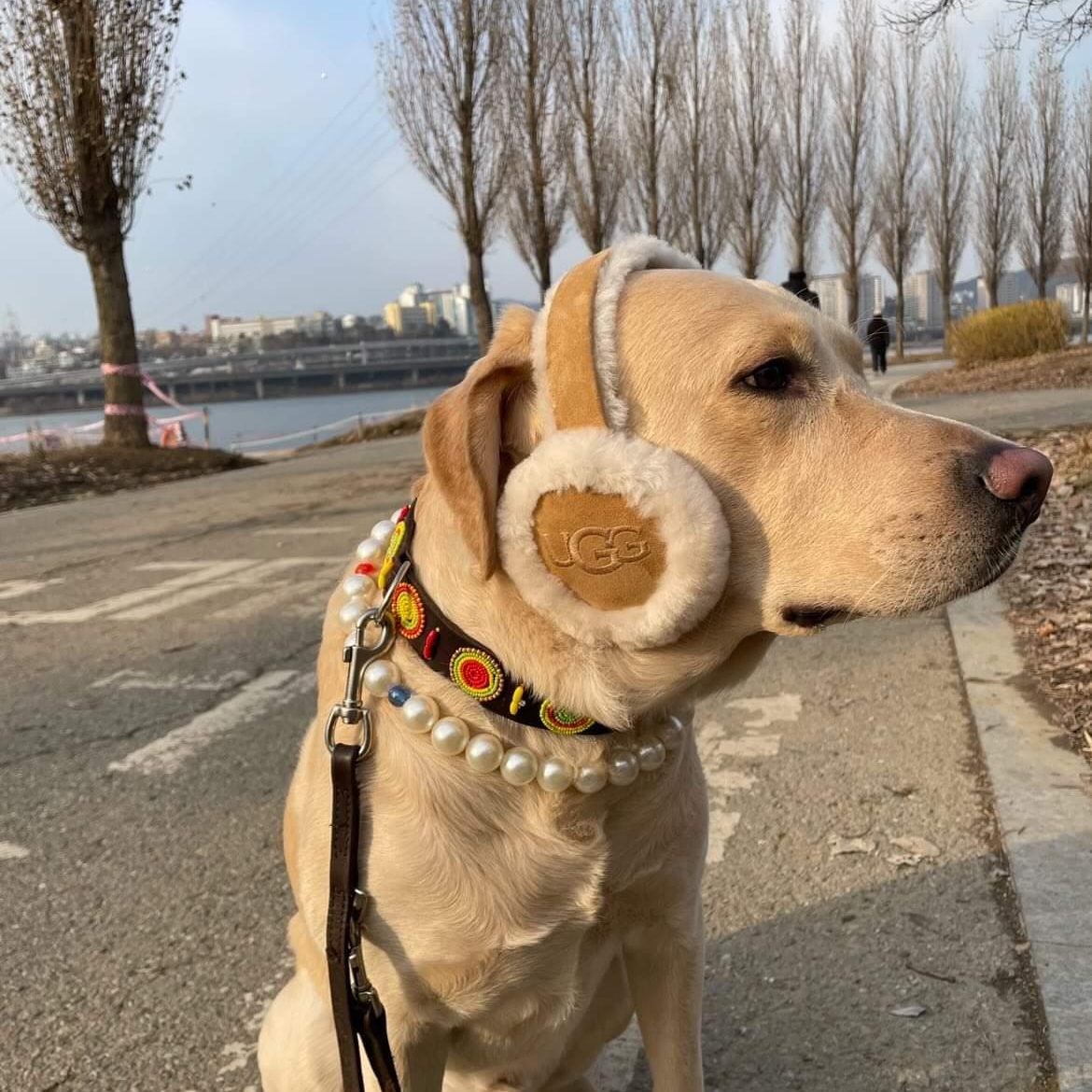(W) UGG Embroidered Logo Earmuff Chestnut 착용 스타일 - 2
