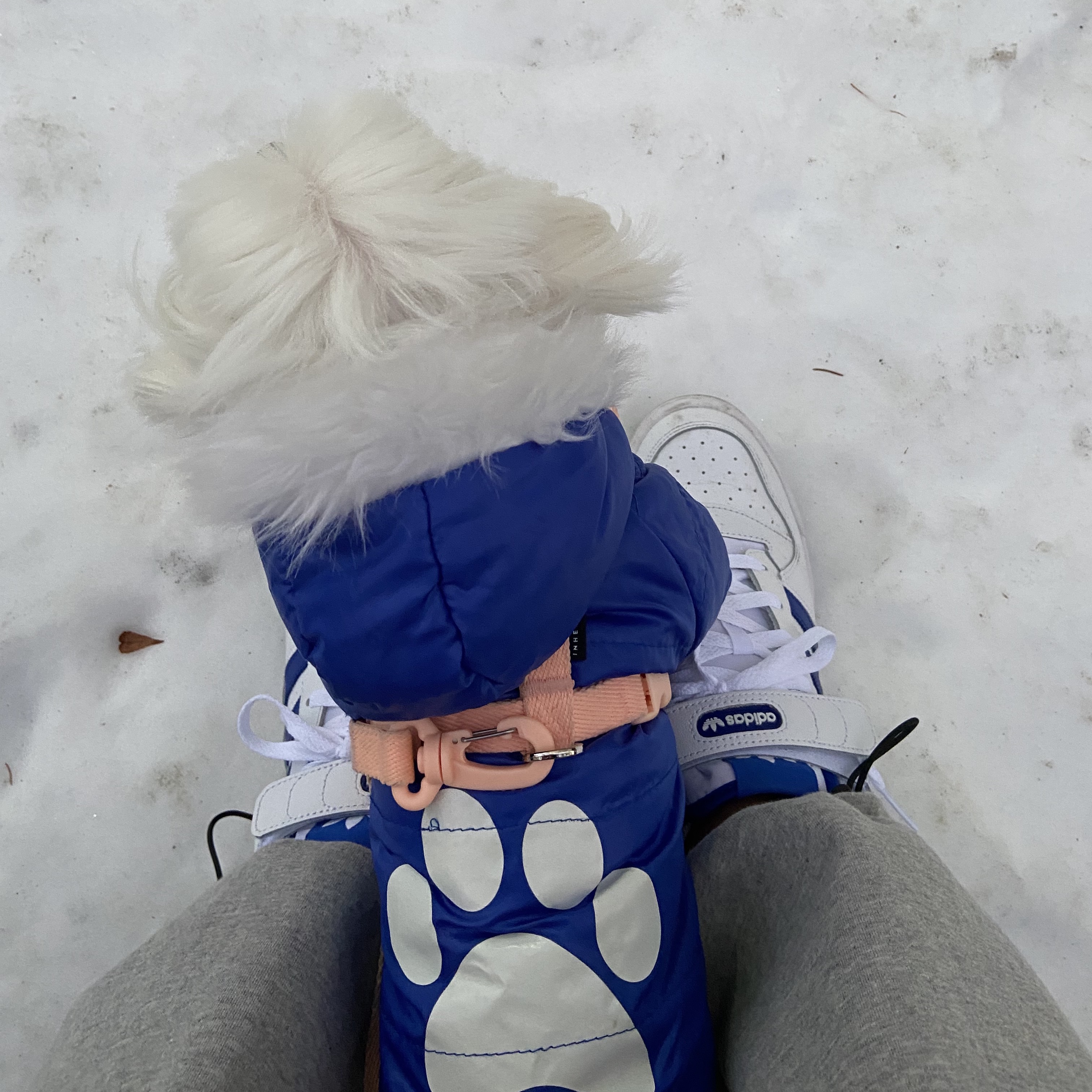 Adidas Forum Low White Royal Blue 착용 스타일 - 2