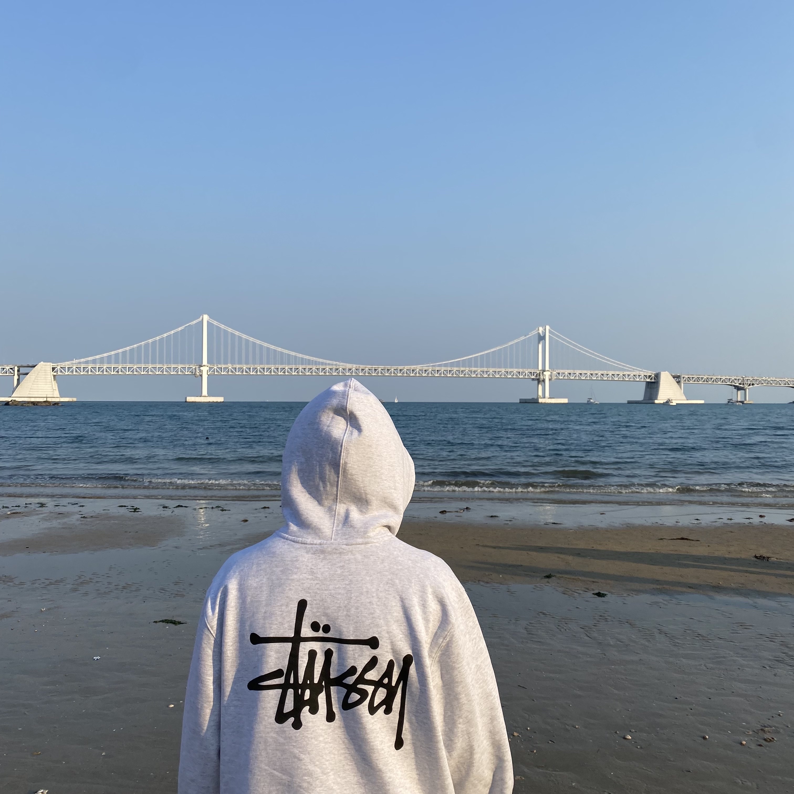 Stussy Basic Stussy Hoodie Ash Heather 2022 착용 스타일 - 2