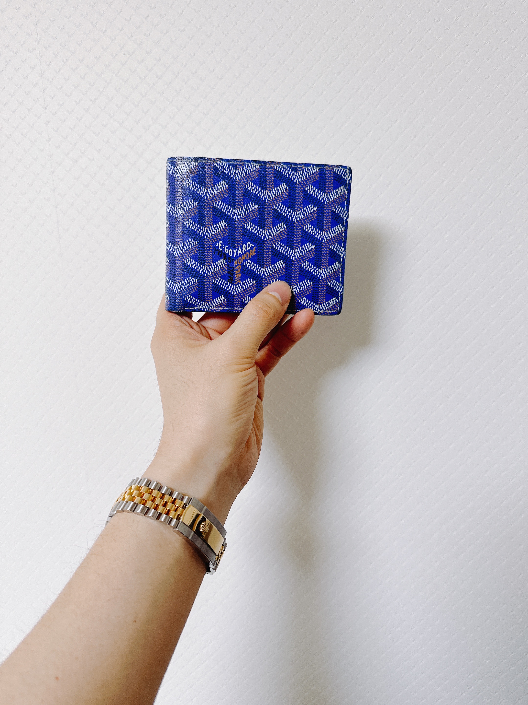 Goyard Victoire Wallet Blue 착용 스타일 - 1