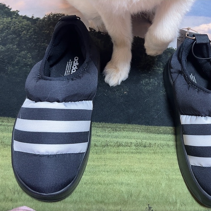 Adidas Puffylette Core Black 착용 스타일 - 3