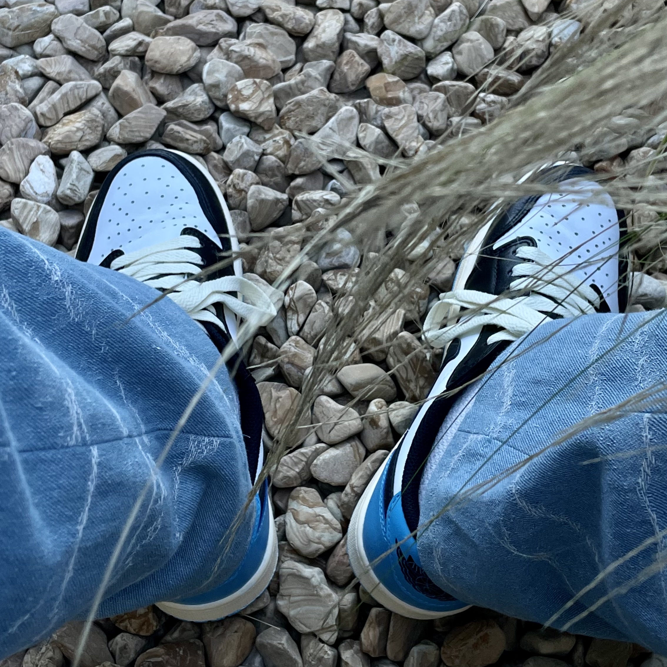 Jordan 1 Retro Low OG Black and Dark Powder Blue 착용 스타일