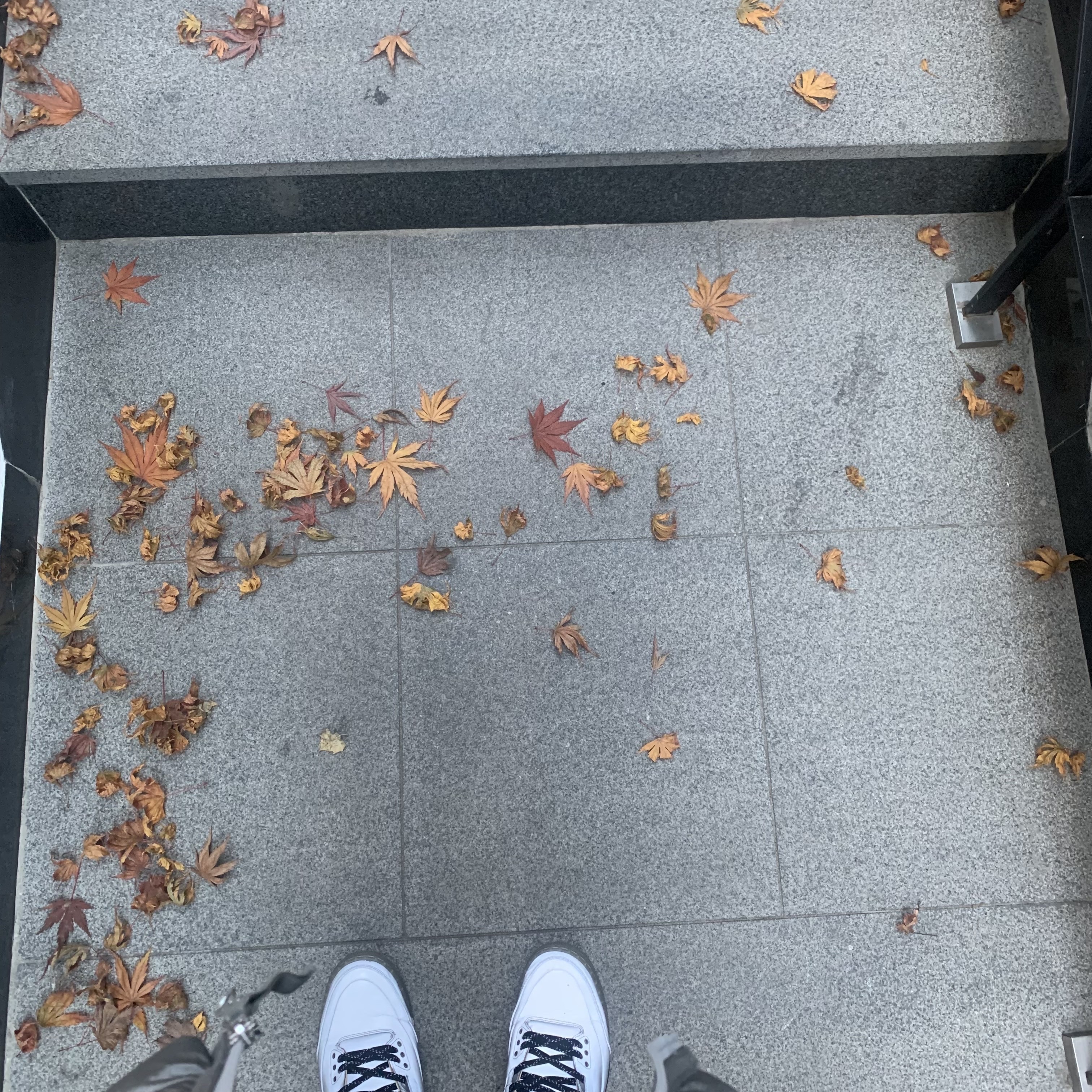 Jordan 3 Retro 5Lab3 Silver 착용 스타일