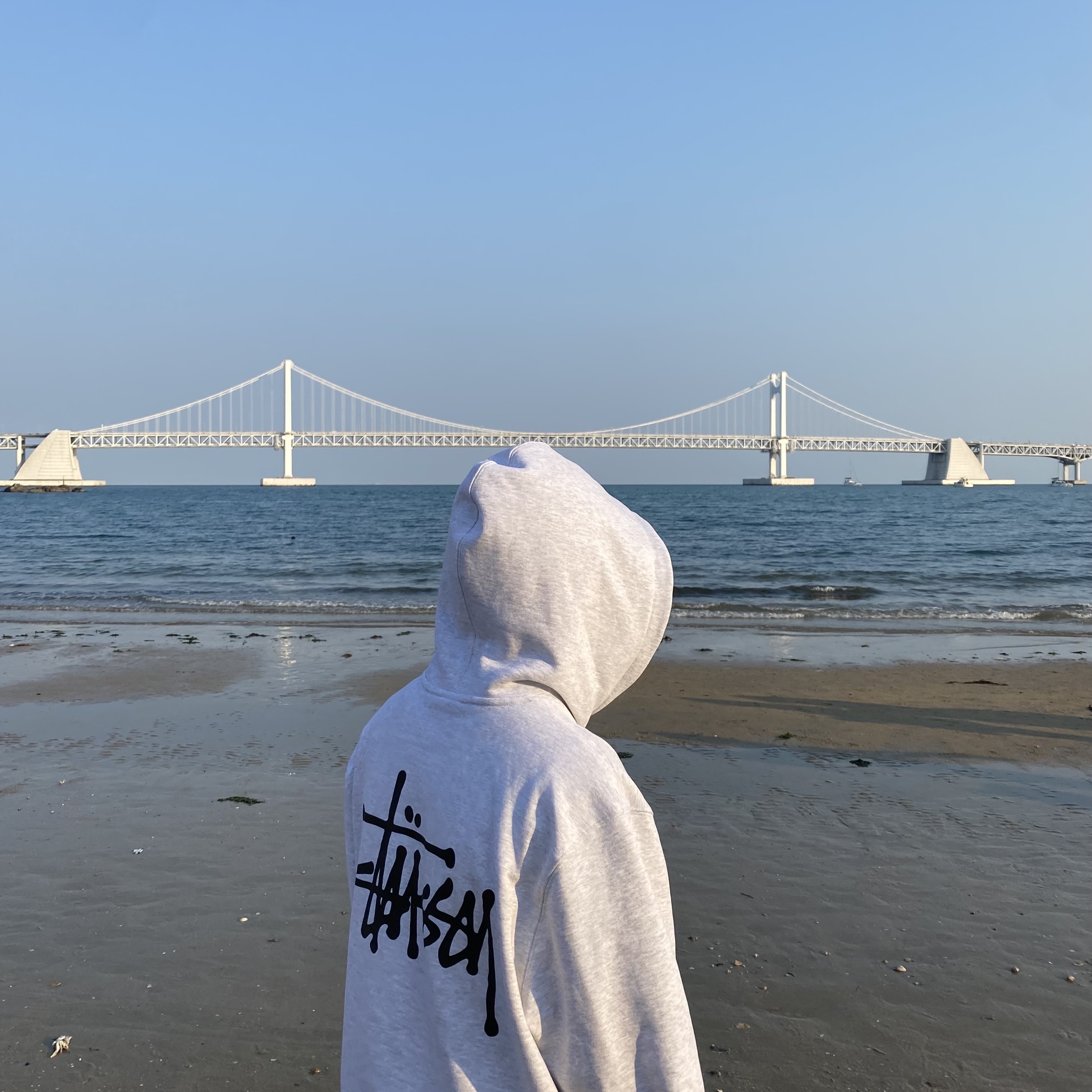 Stussy Basic Stussy Hoodie Ash Heather 2022 착용 스타일 - 1
