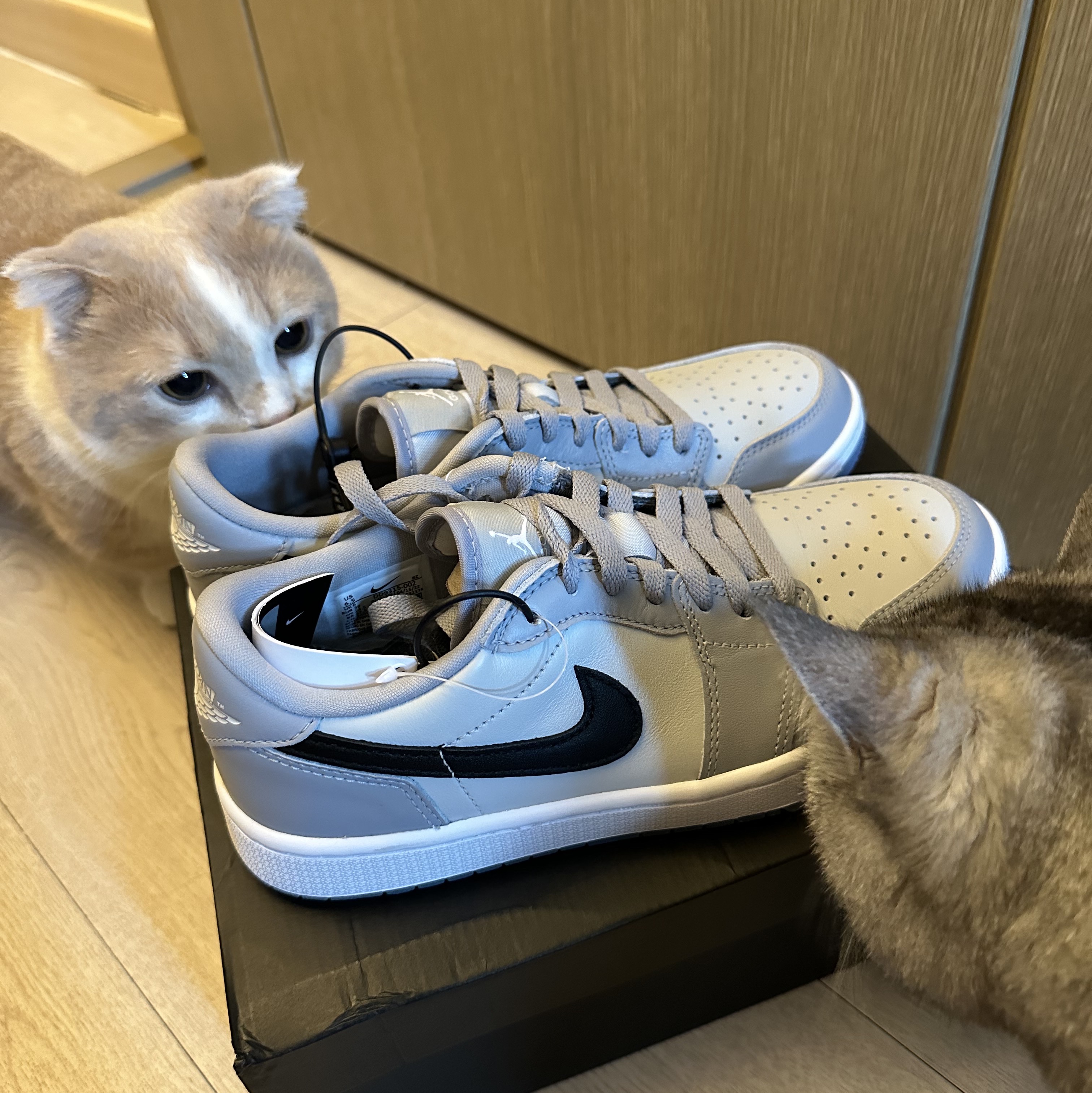 Jordan 1 Low Golf Wolf Grey 착용 스타일 - 1
