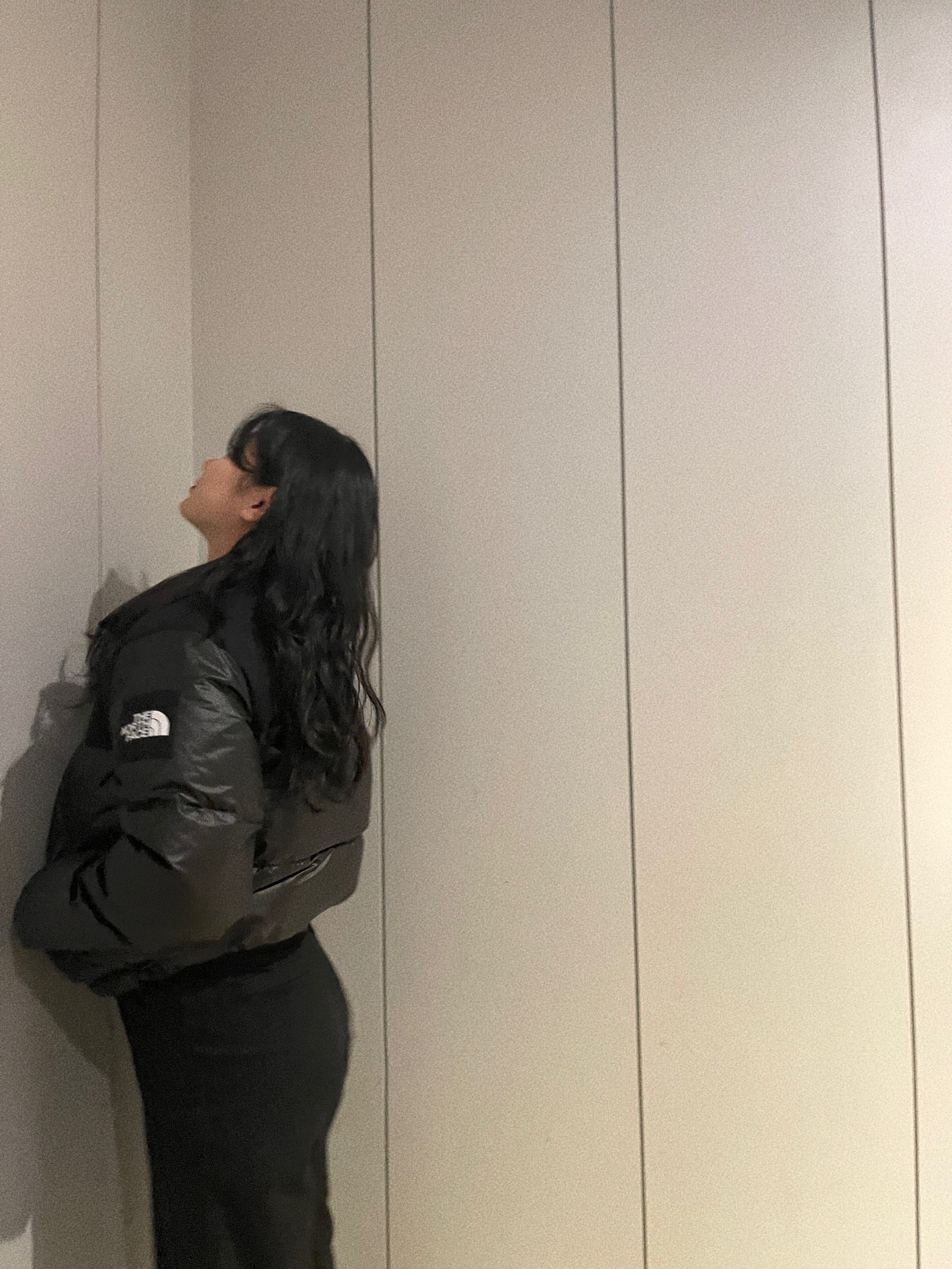 (W) The North Face White Label Novelty Nuptse Down Jacket Black 착용 스타일