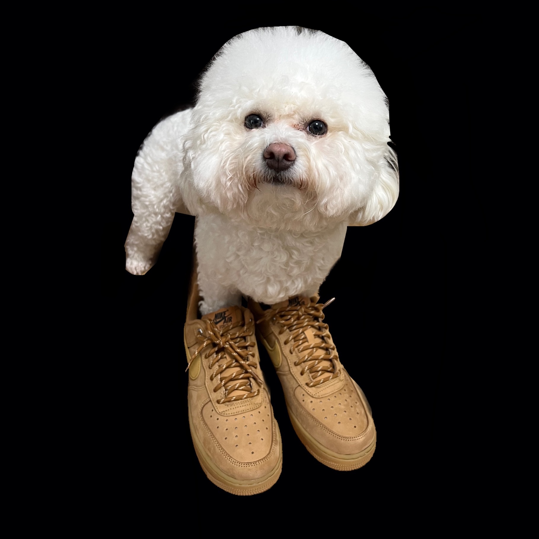 Nike Air Force 1 '07 WB Flax 착용 스타일