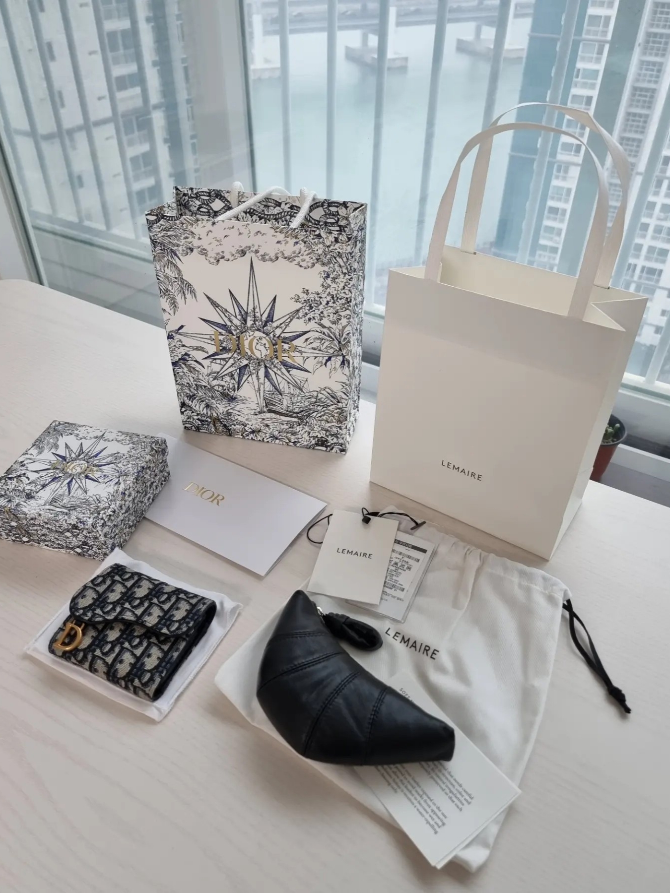 Dior Saddle Lotus Wallet Blue Dior Oblique Jacquard, Lemaire Croissant Coin Purse Soft Nappa Leather Black 착용 스타일 - 1