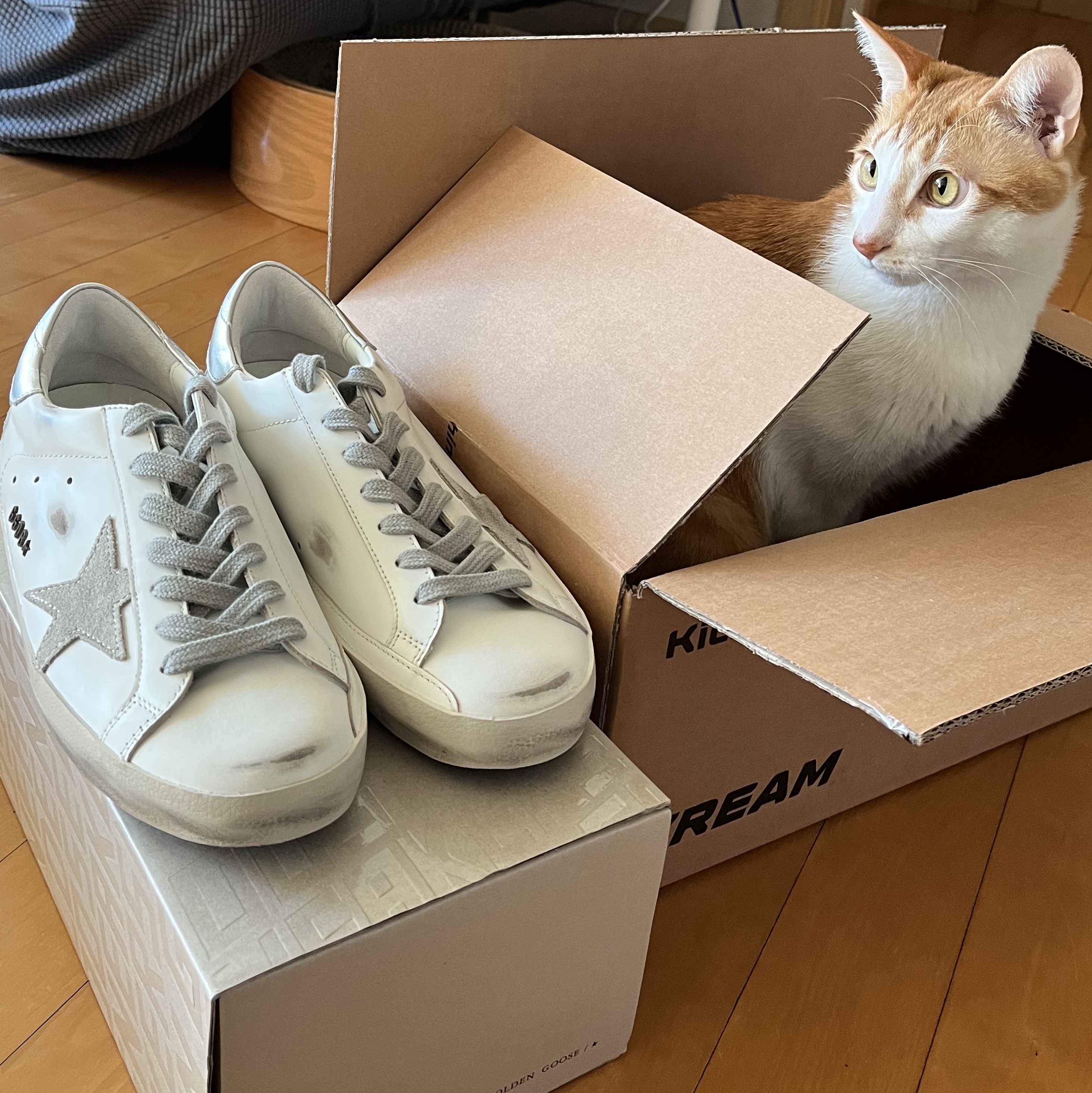 Golden Goose Superstar White Silver Heel Tab Sneakers 착용 스타일