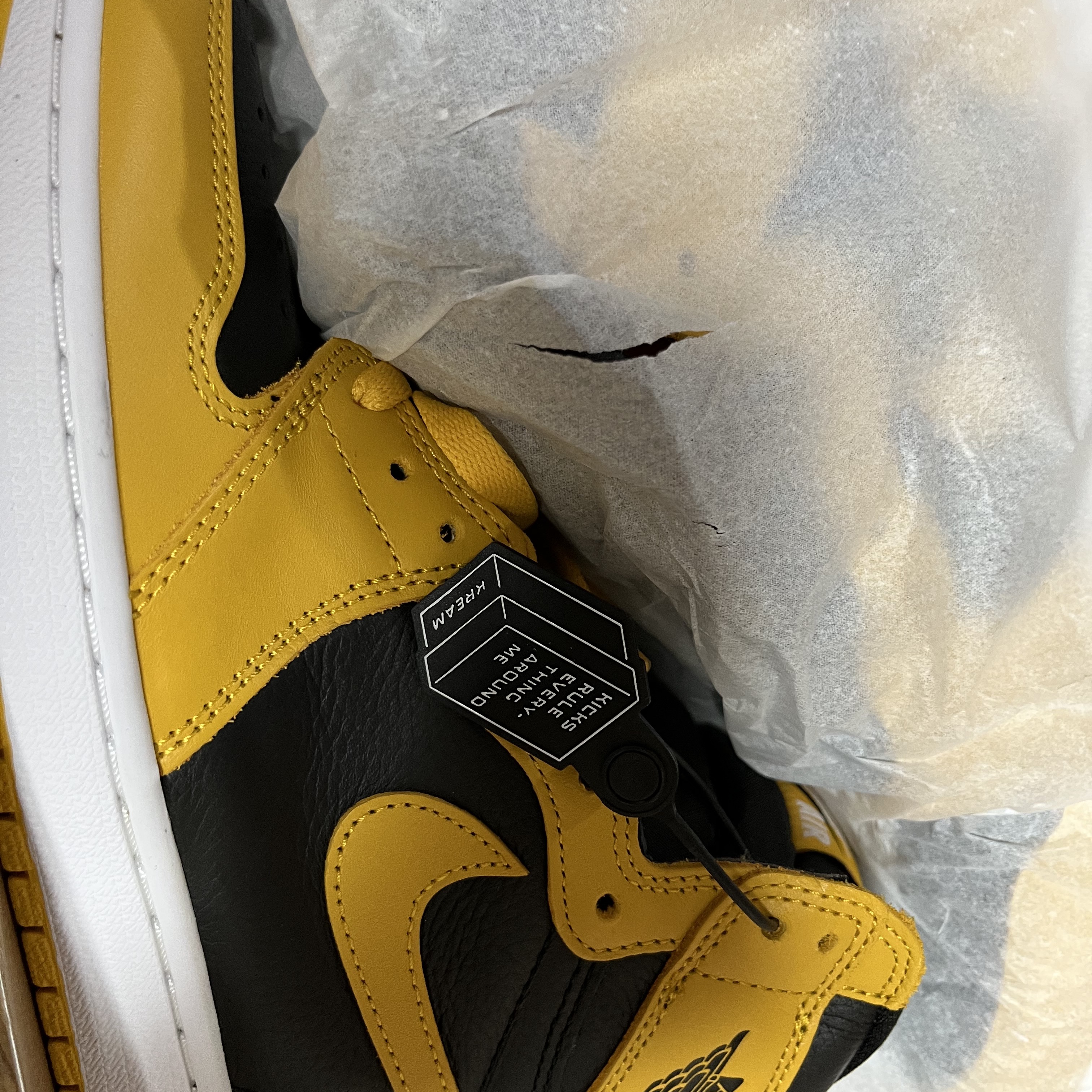 Jordan 1 Retro High OG Pollen 착용 스타일 - 3