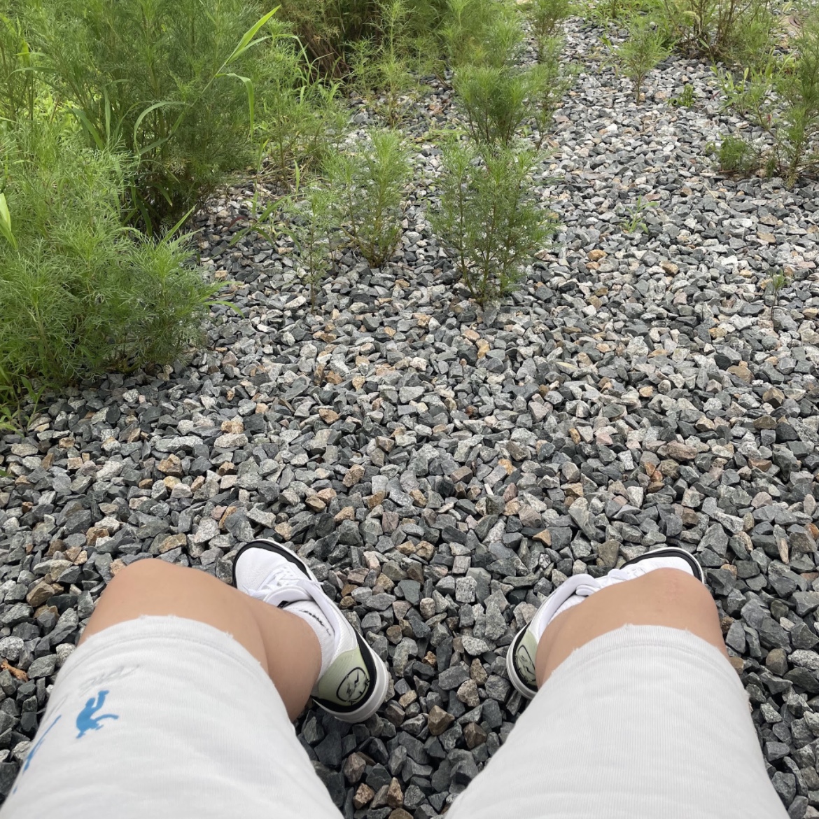 Jordan x Union Fleece Shorts Photon Dust - Asia, Jordan 3 x Fragment Retro SP White Black 착용 스타일