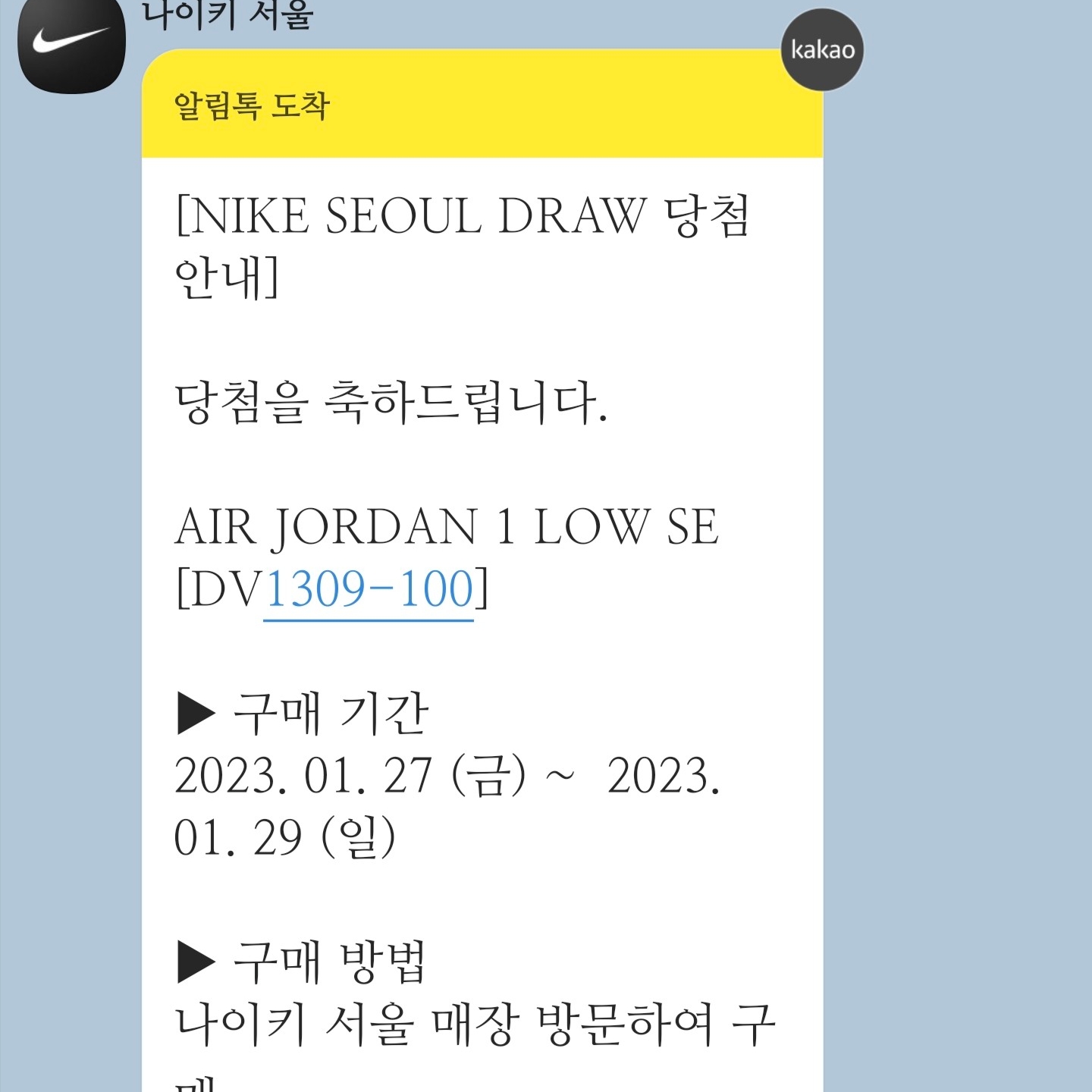 (GS) Jordan 1 Low SE Concord 착용 스타일