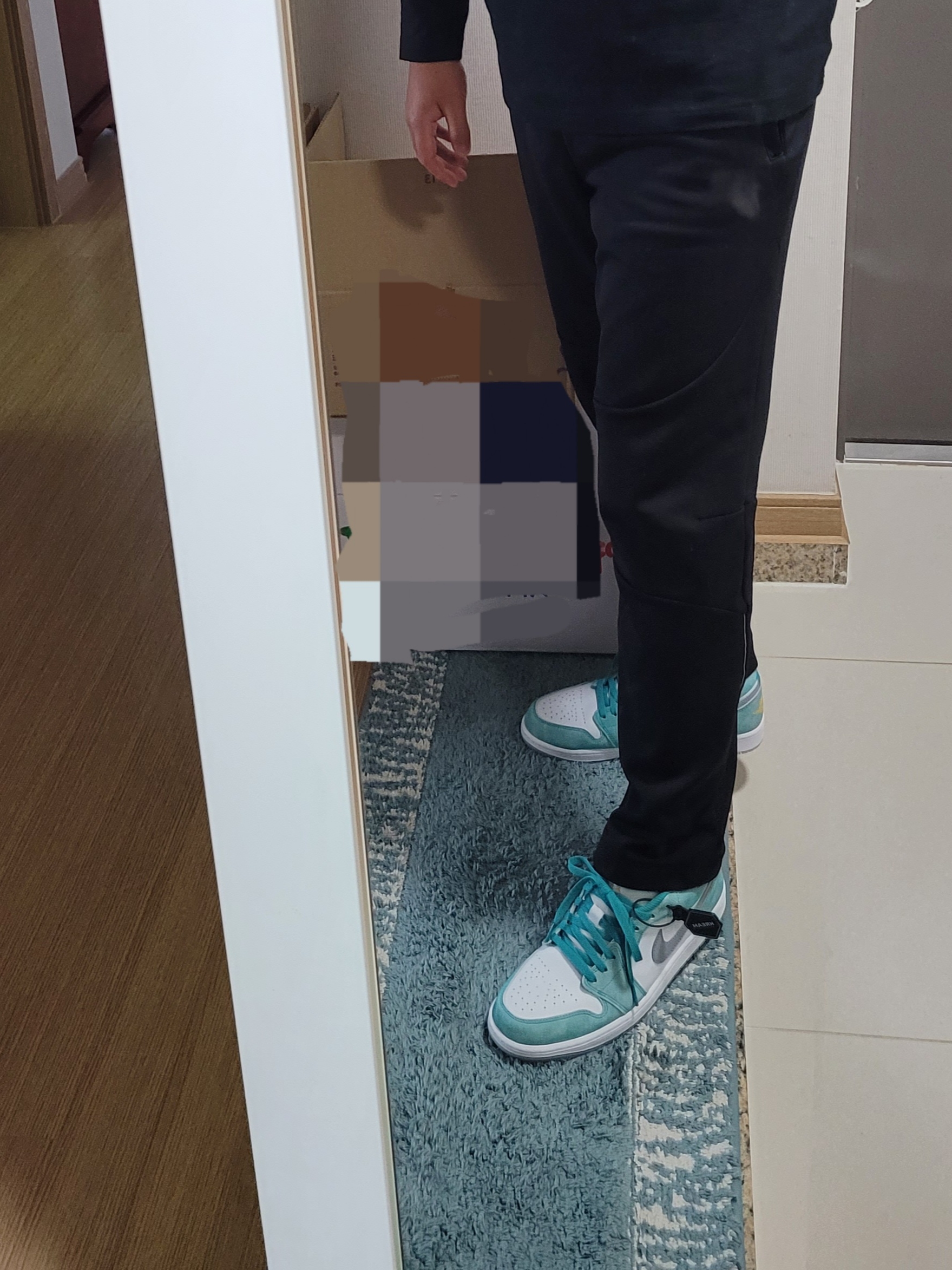 Jordan 1 Low SE New Emerald 착용 스타일