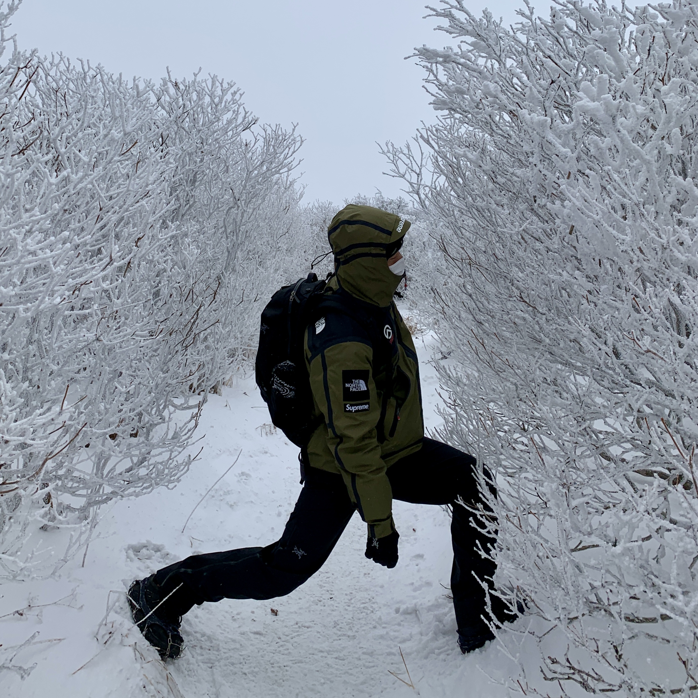 Supreme x The North Face Summit Series Outer Tape Seam Jacket Olive - 21SS, Hoka Tor Ultra Hi 2 WP Black 착용 스타일
