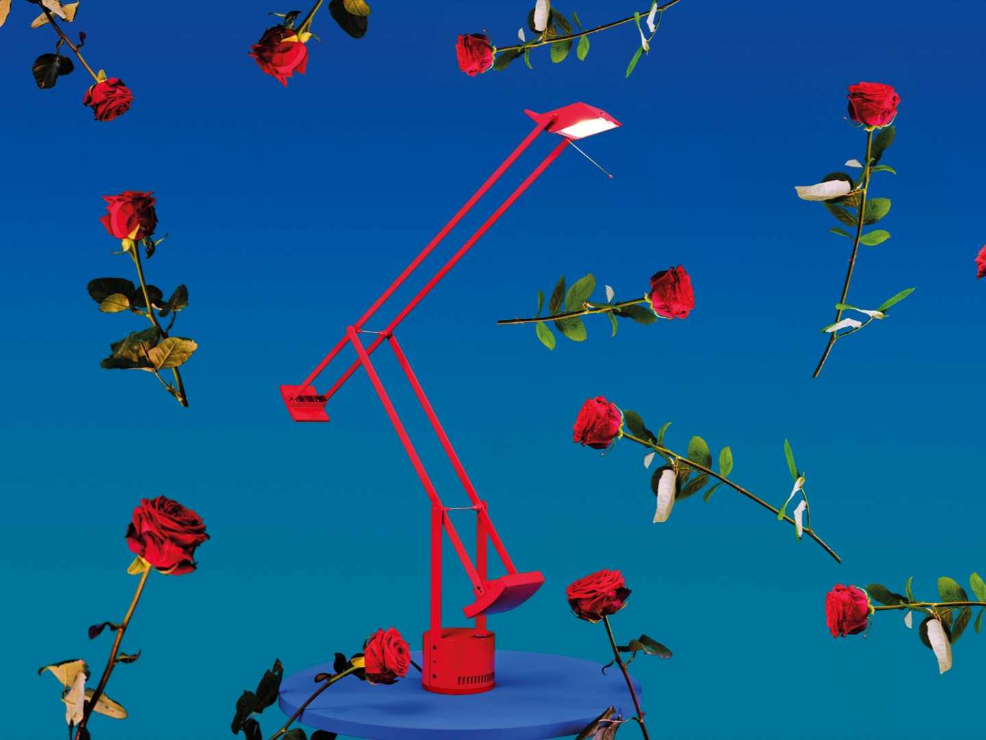 artemide_official님의 스타일 - 1