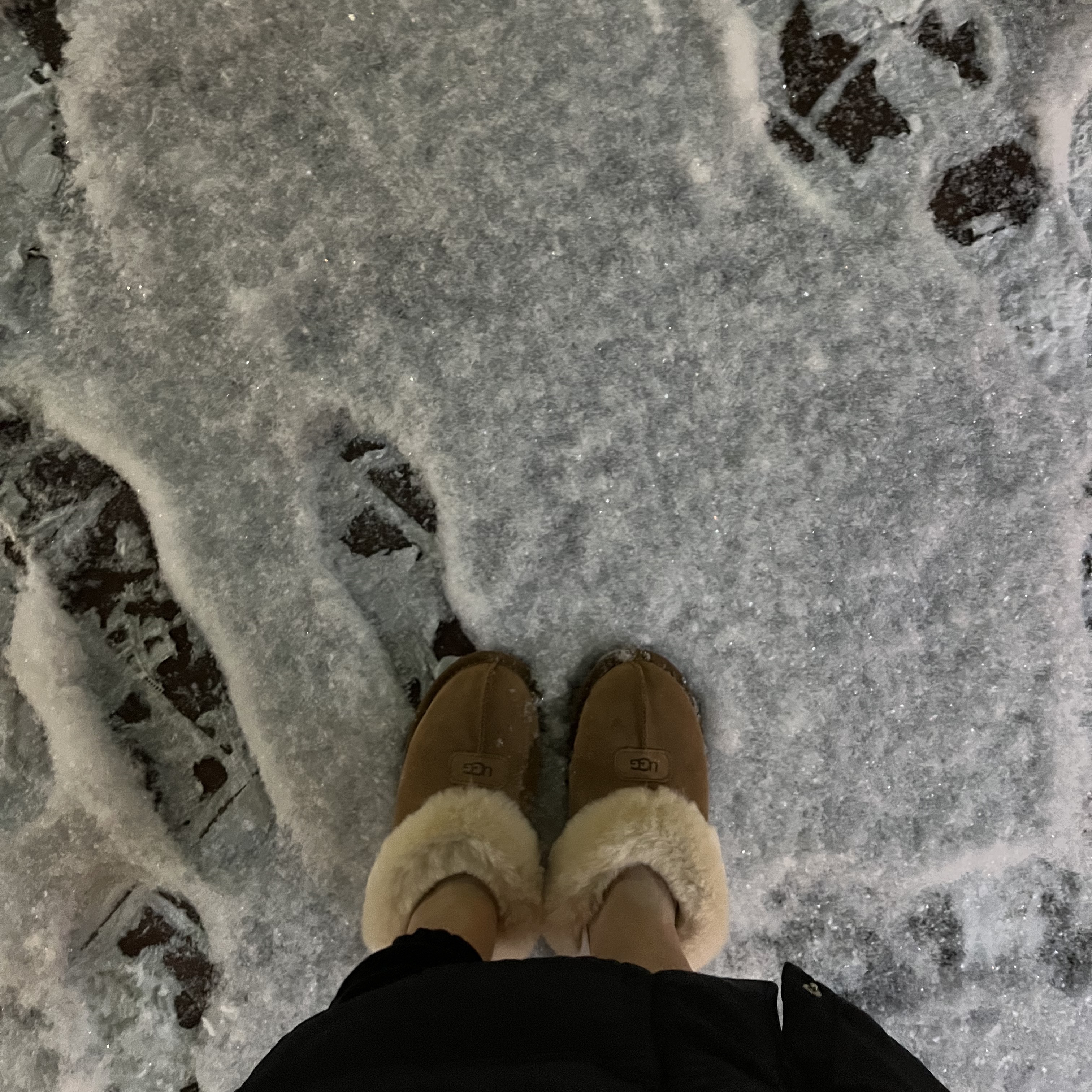 (W) UGG Coquette Slipper Chestnut 착용 스타일