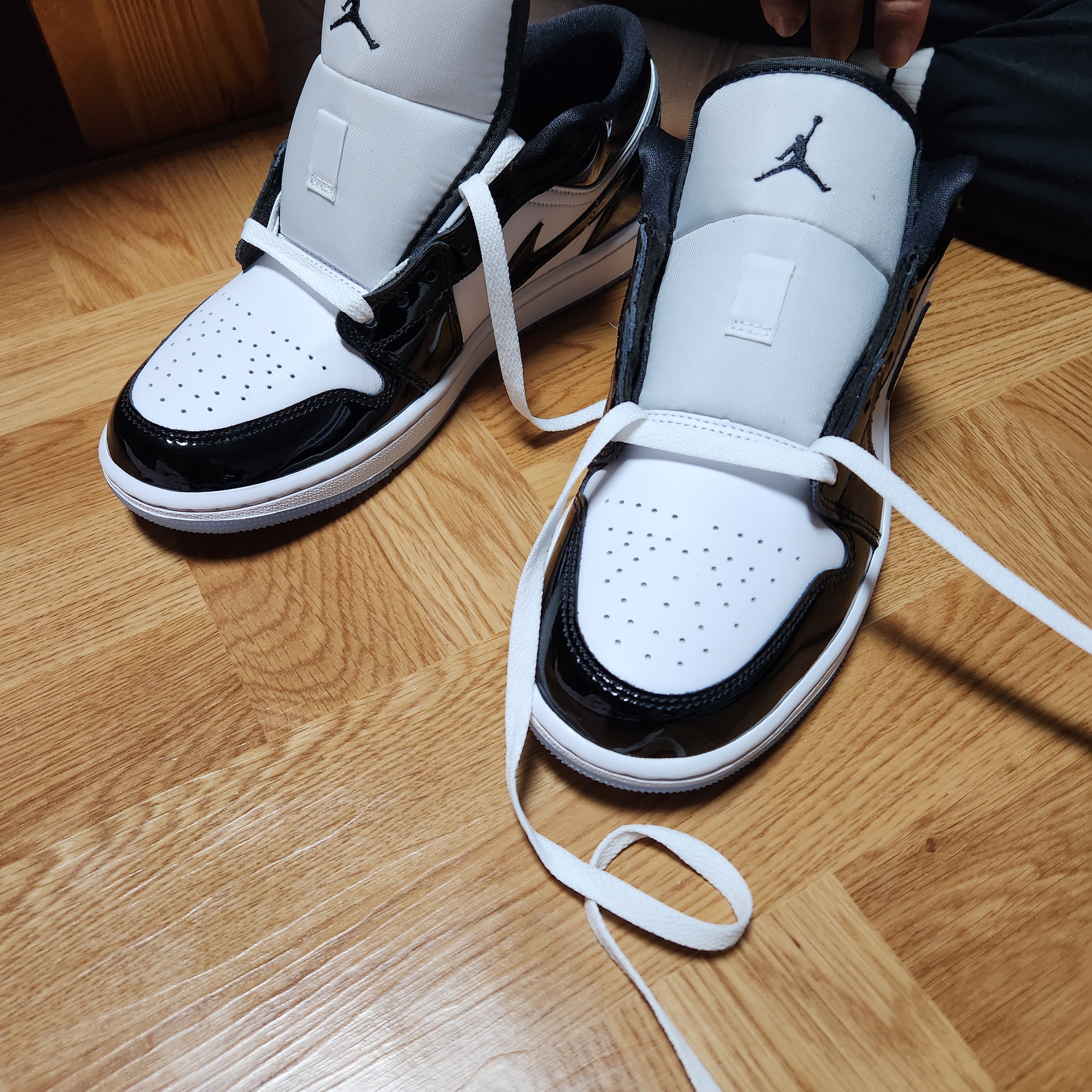 Jordan 1 Low SE Concord 착용 스타일