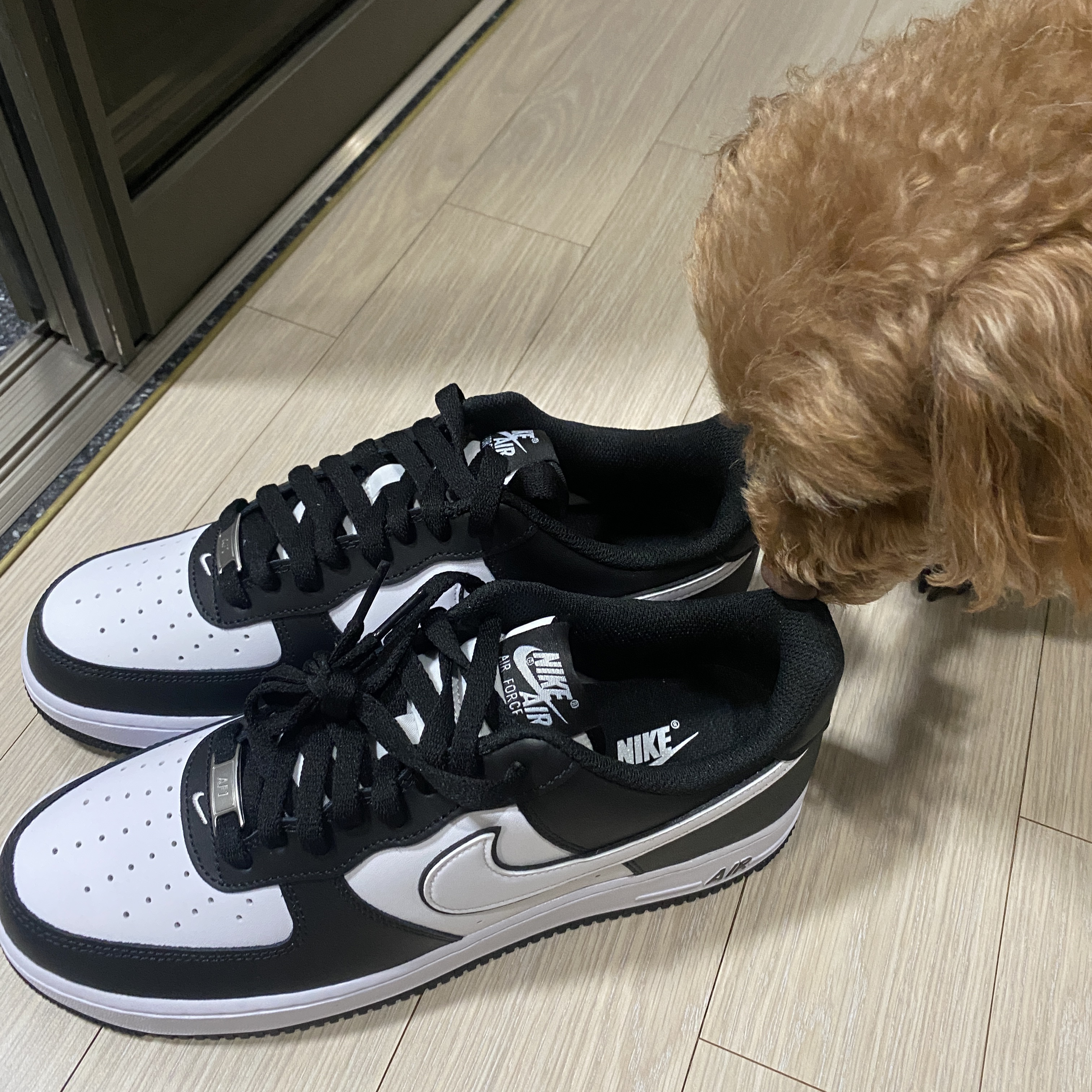 Nike Air Force 1 '07 Black White 착용 스타일