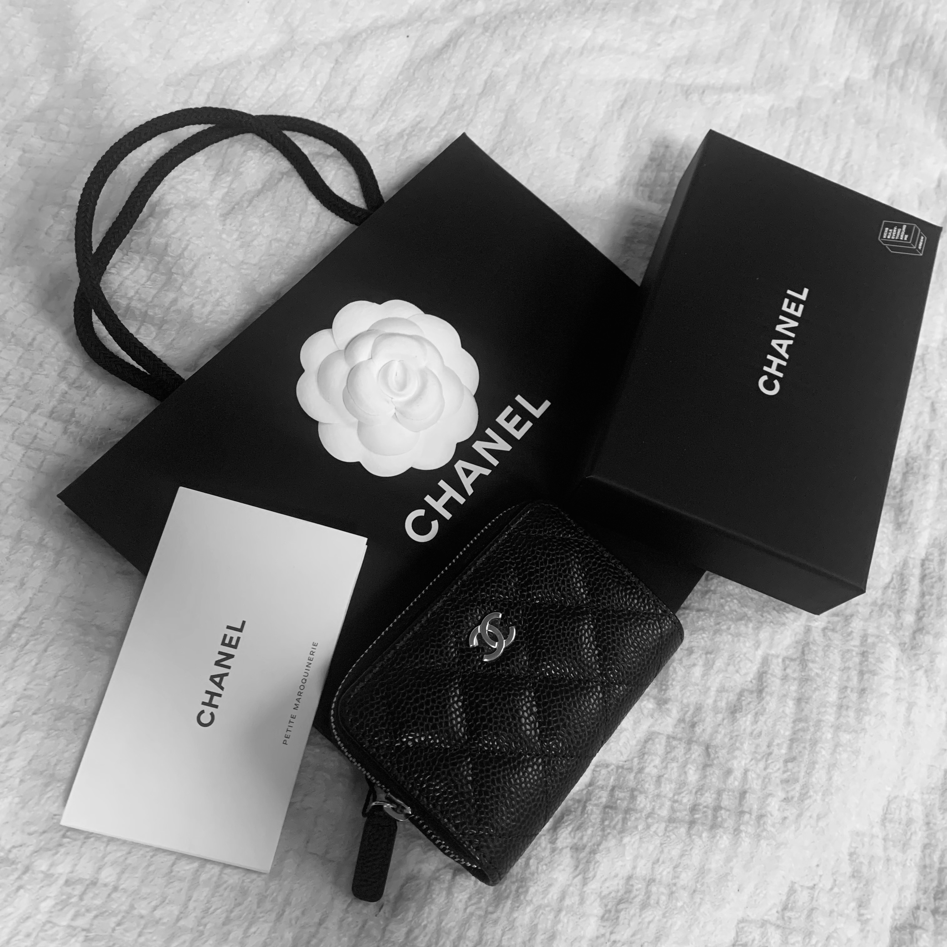 Chanel Classic Zipped Coin Purse Grained Calfskin & Silver Black 착용 스타일