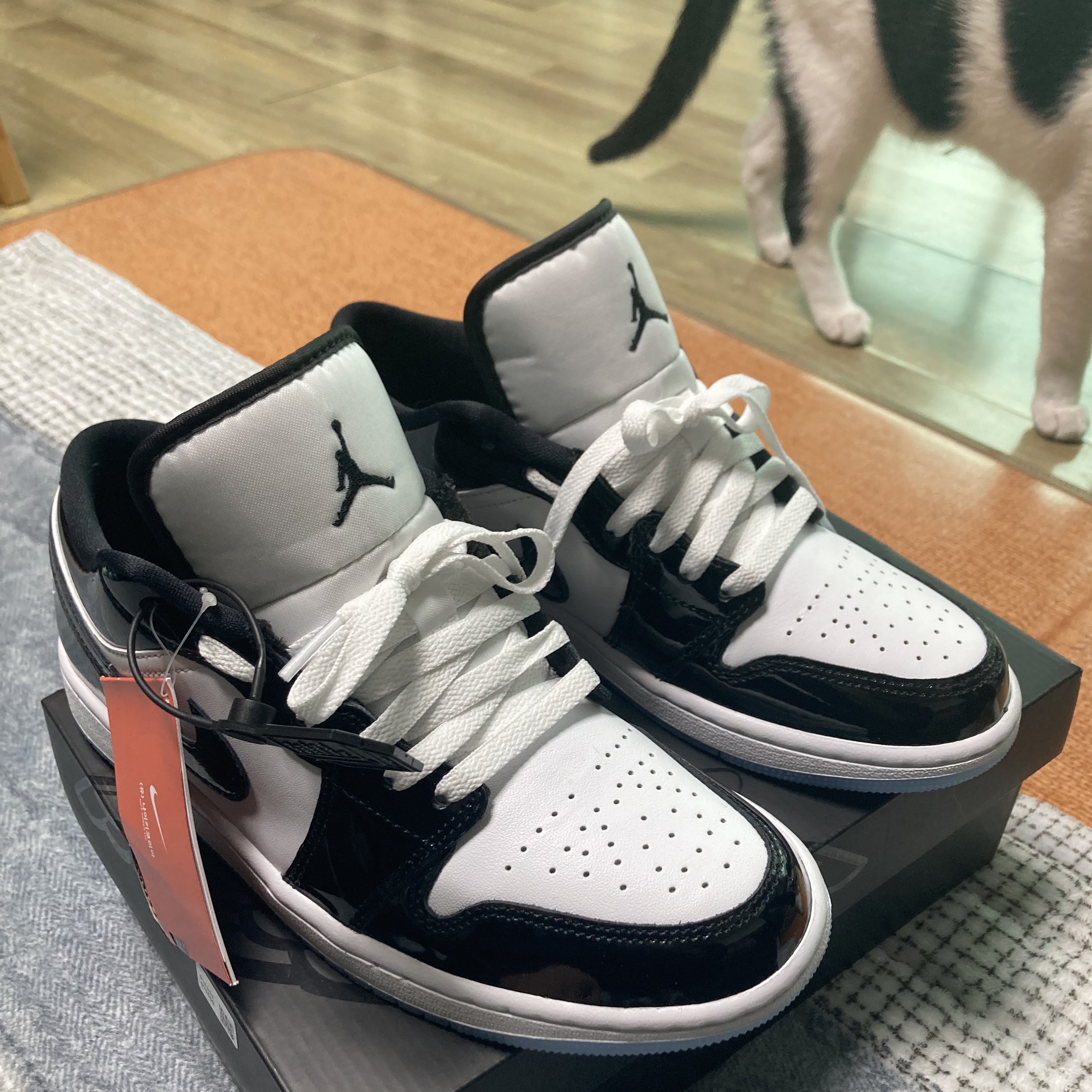 Jordan 1 Low SE Concord 착용 스타일 - 2
