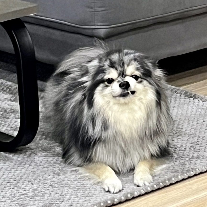 마태님의 스타일