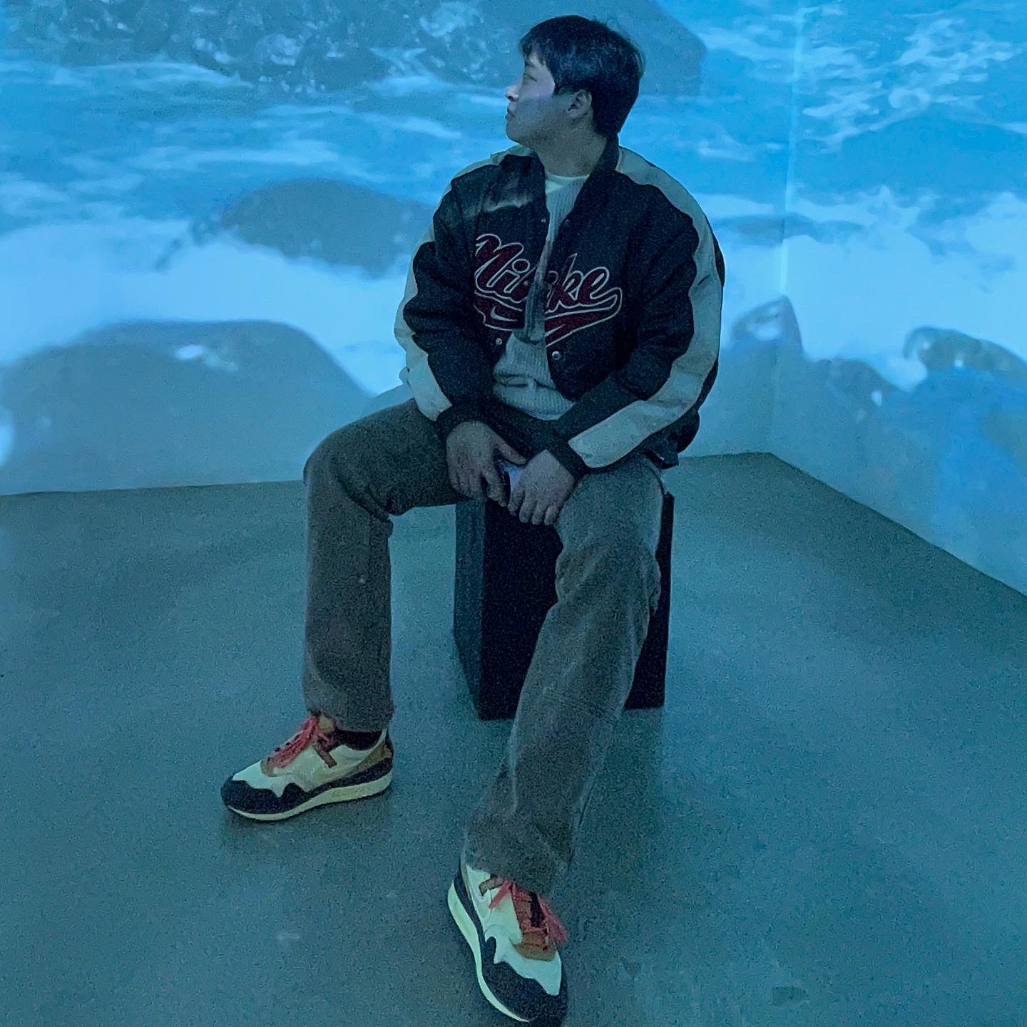 Nike x Travis Scott Air Max 1 Cact.us Brown 착용 스타일 - 1