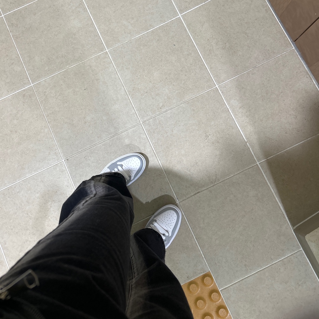 (W) Jordan 1 Elevate Low White and Wolf Grey 착용 스타일