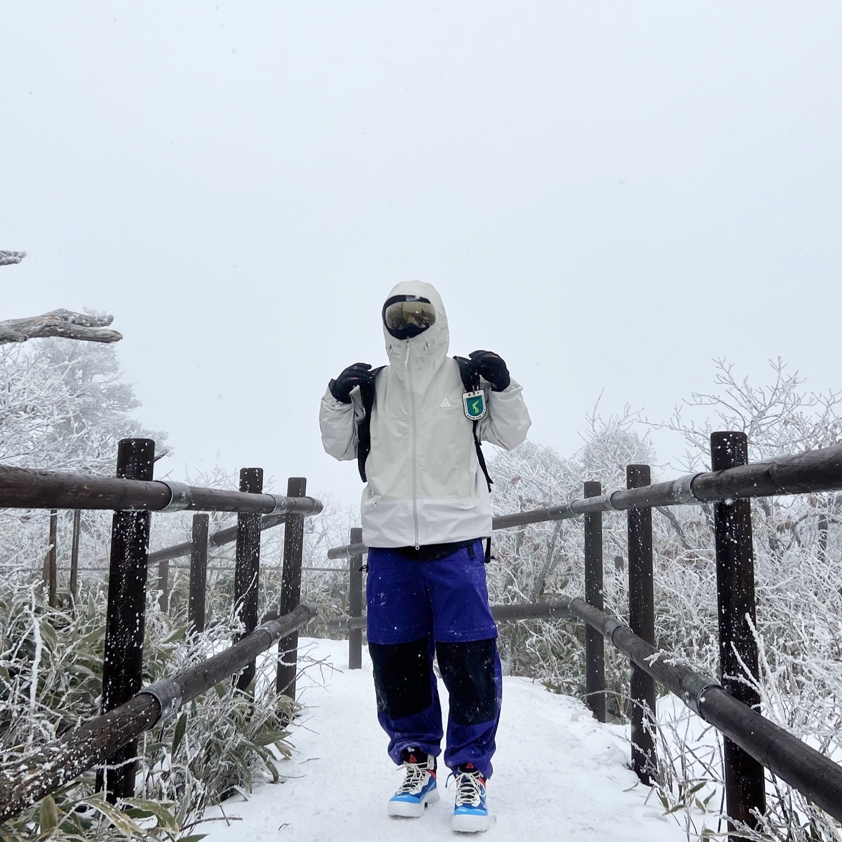 Nike ACG Air Zoom Gaiadome Gore-Tex Hyper Royal, Nike ACG Convertible Pants Fusion Violet Black - Asia 착용 스타일