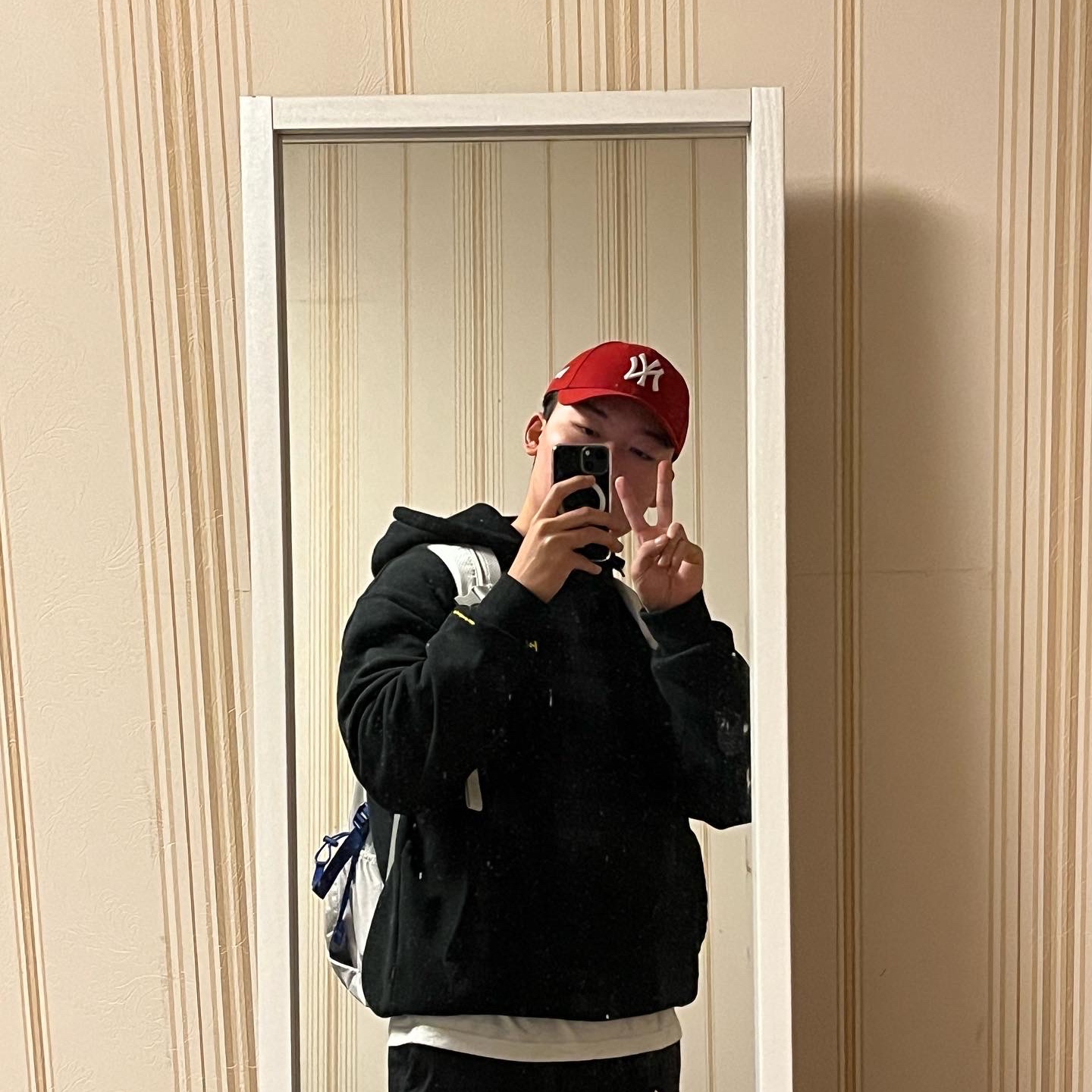 Supreme Backpack Silver - 22SS, Nike ACG Smith Summit Cargo Pants Black Summit White - Asia 착용 스타일