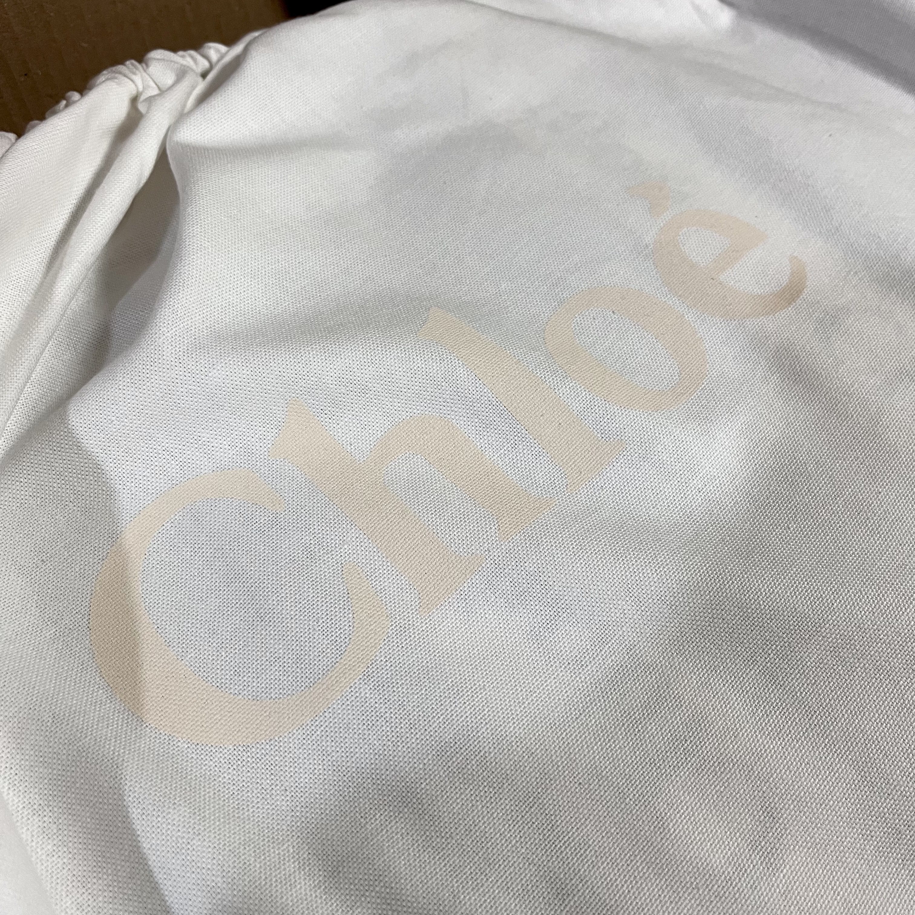 Chloe Woody Large Tote Bag White Brown 착용 스타일 - 2