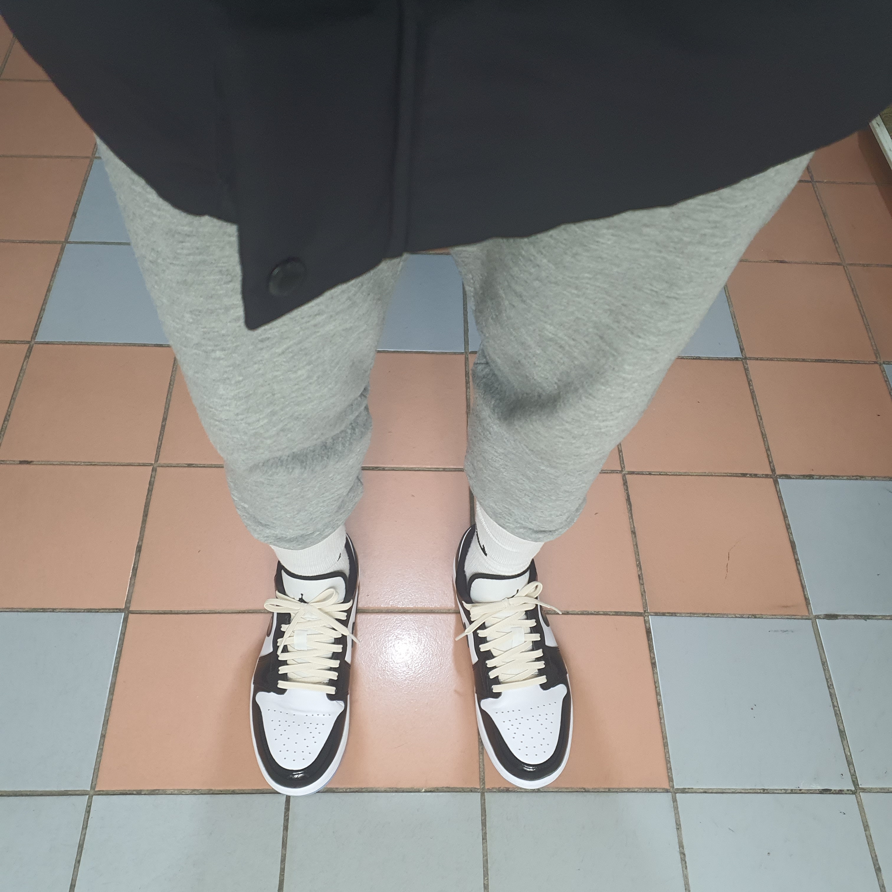 Jordan 1 Low SE Concord 착용 스타일
