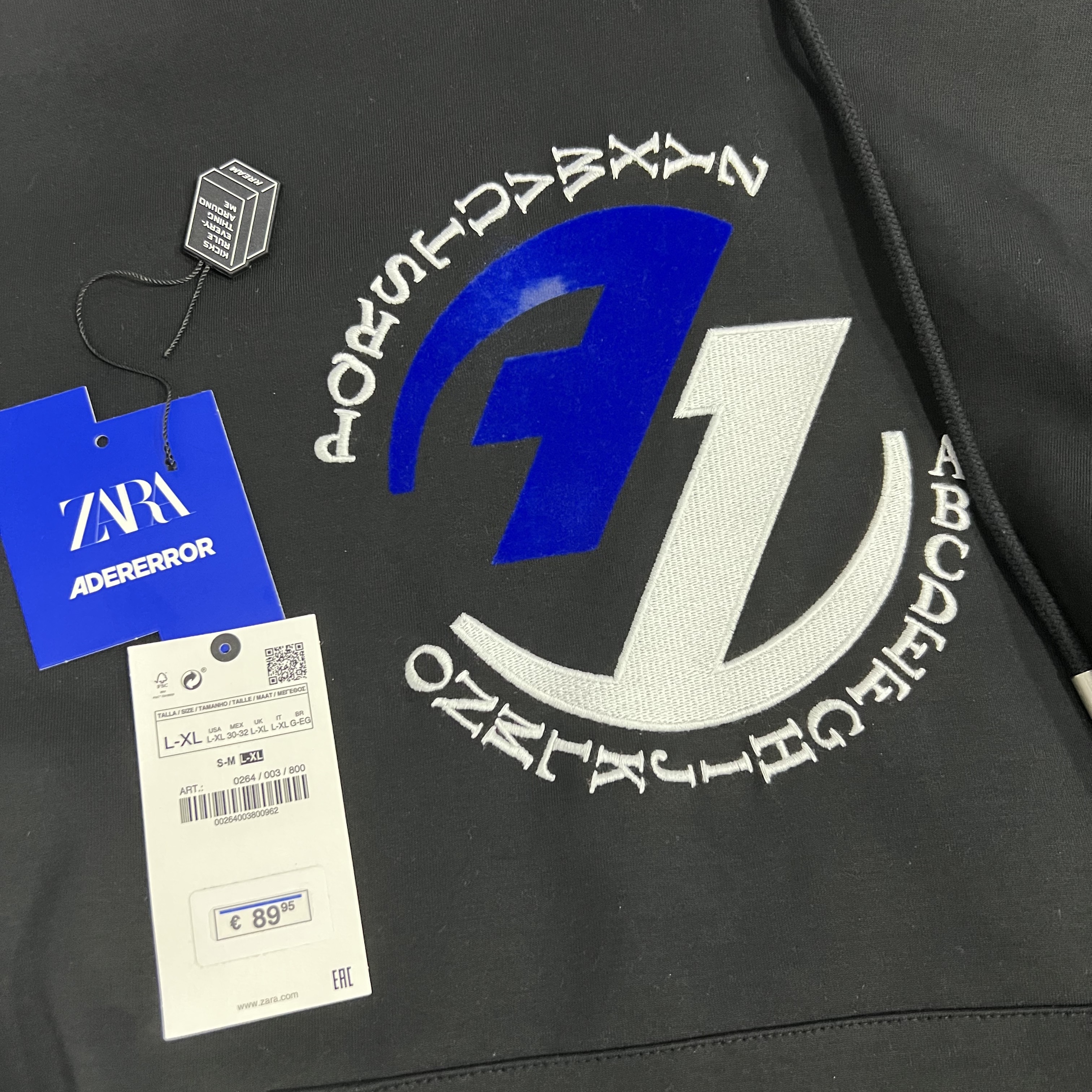 Zara x Ader Error Embroidery Hooded Sweatshirt Black 착용 스타일 - 1