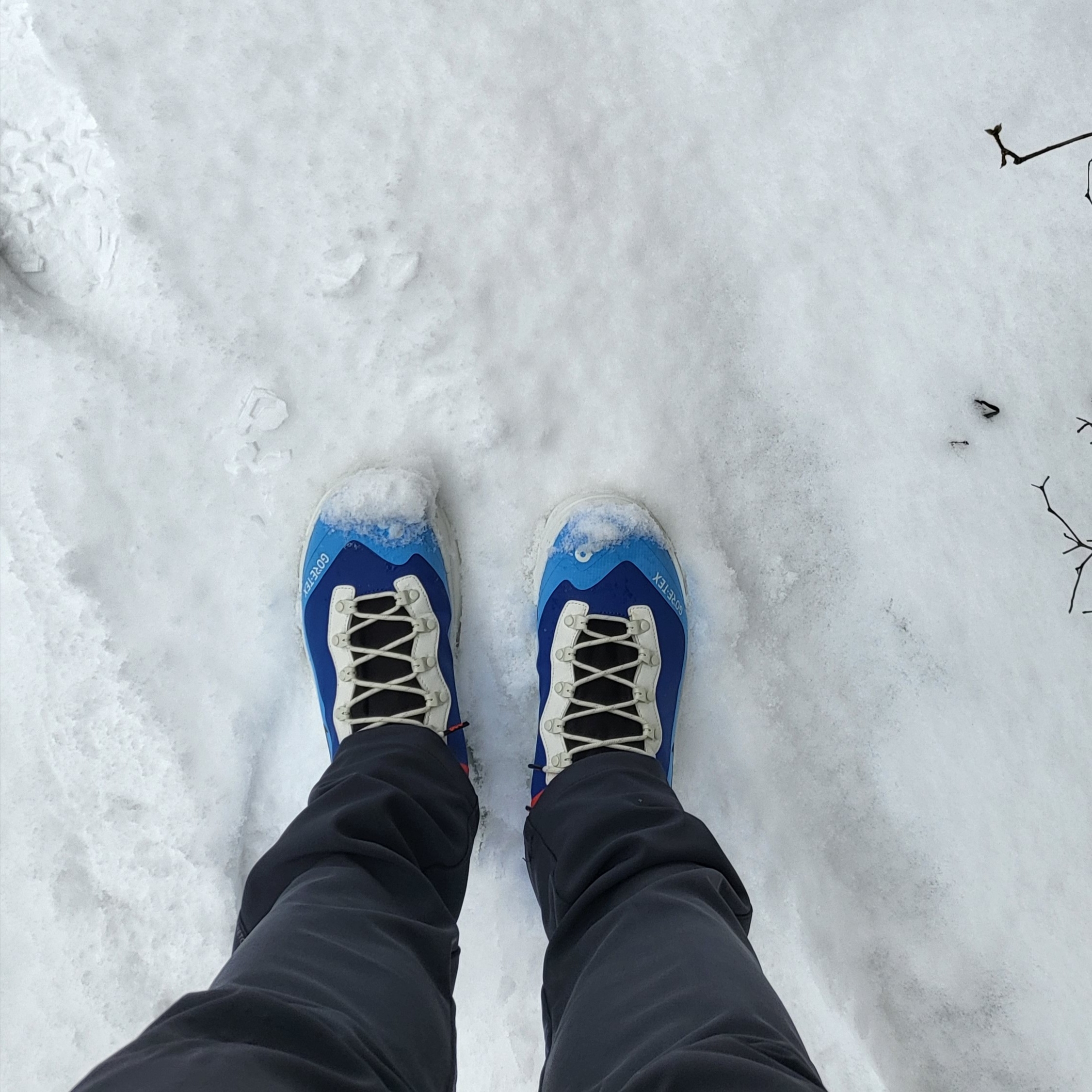 Nike ACG Air Zoom Gaiadome Gore-Tex Hyper Royal 착용 스타일