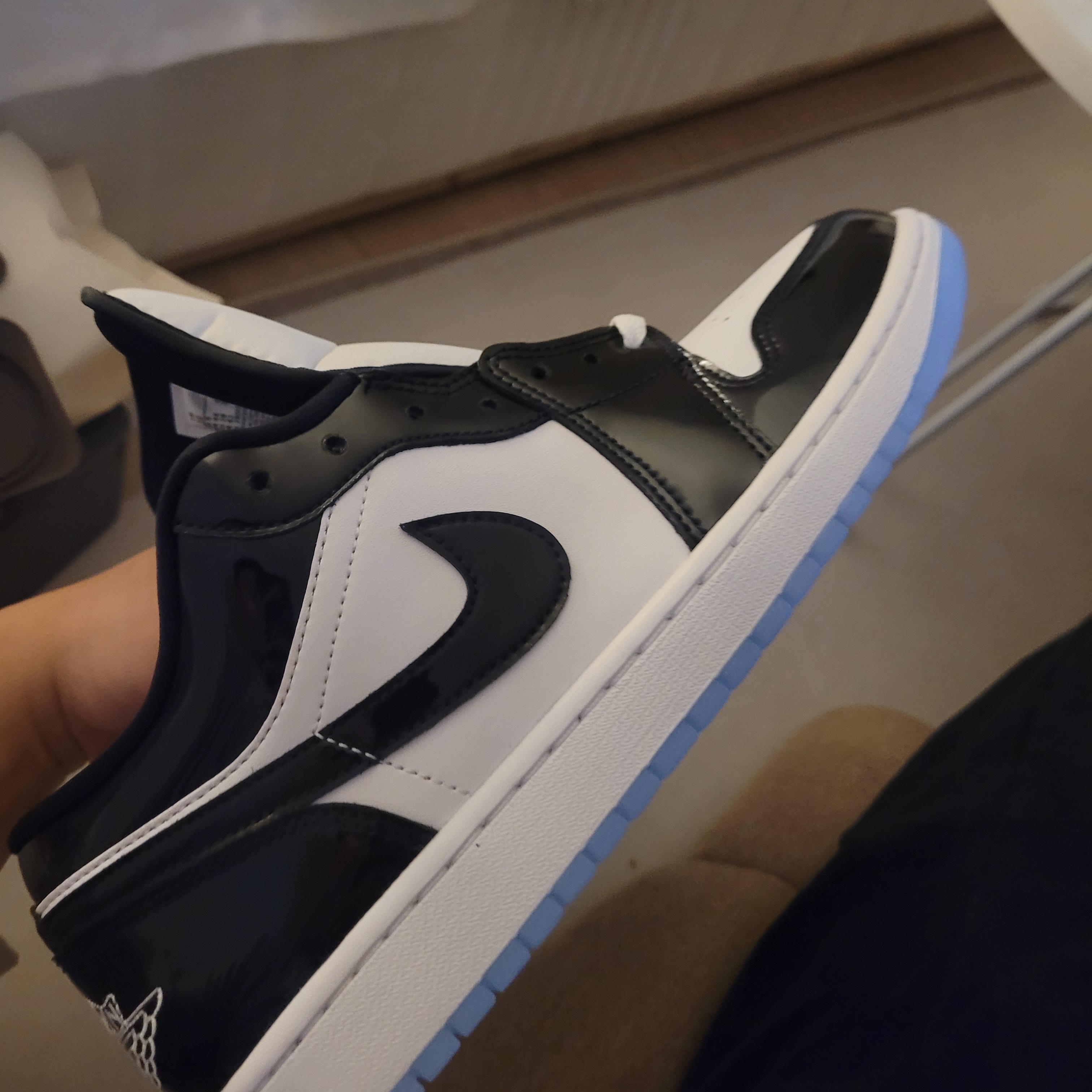 Jordan 1 Low SE Concord 착용 스타일