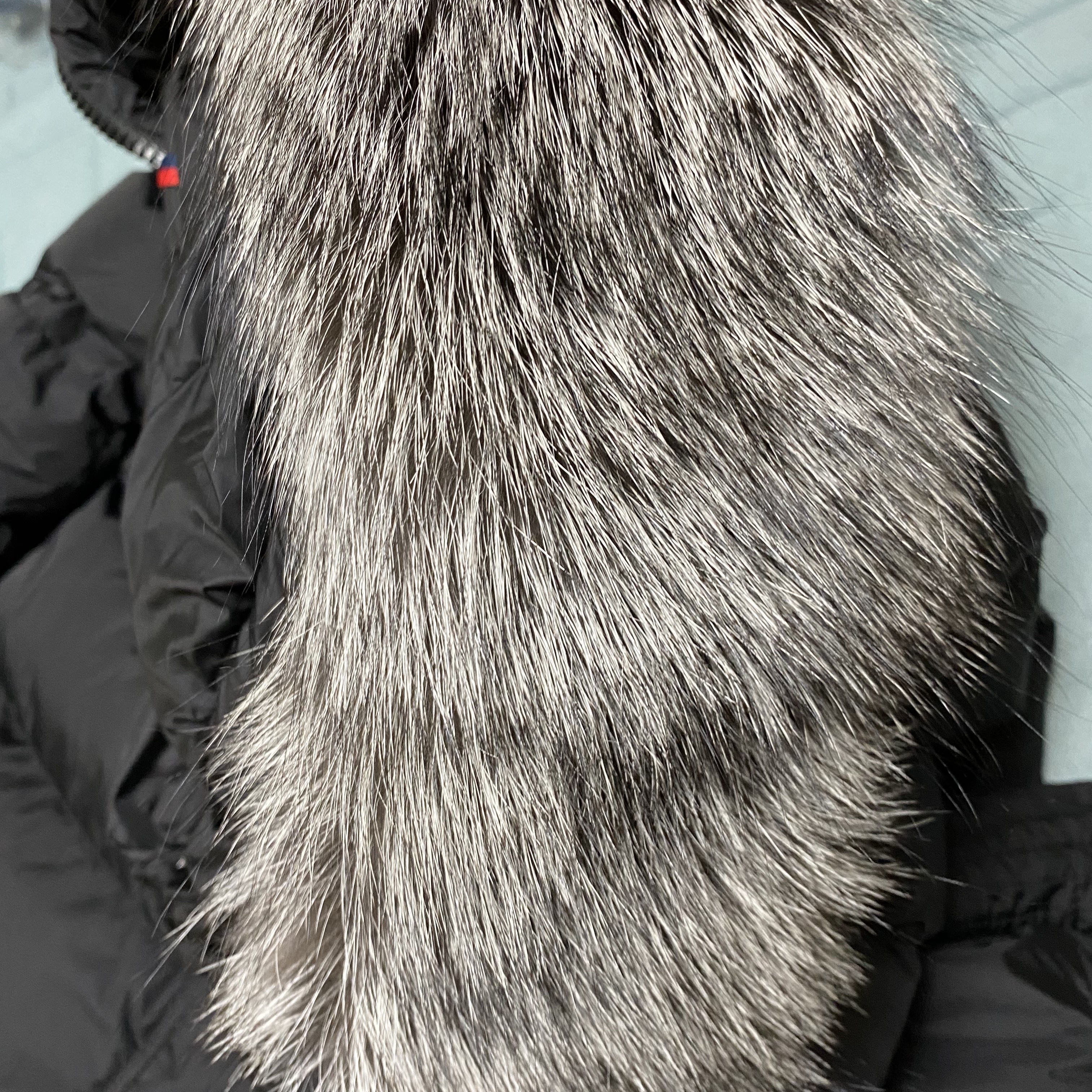 (W) Moncler Aphroti Long Down Jacket Black - 22FW 착용 스타일 - 3