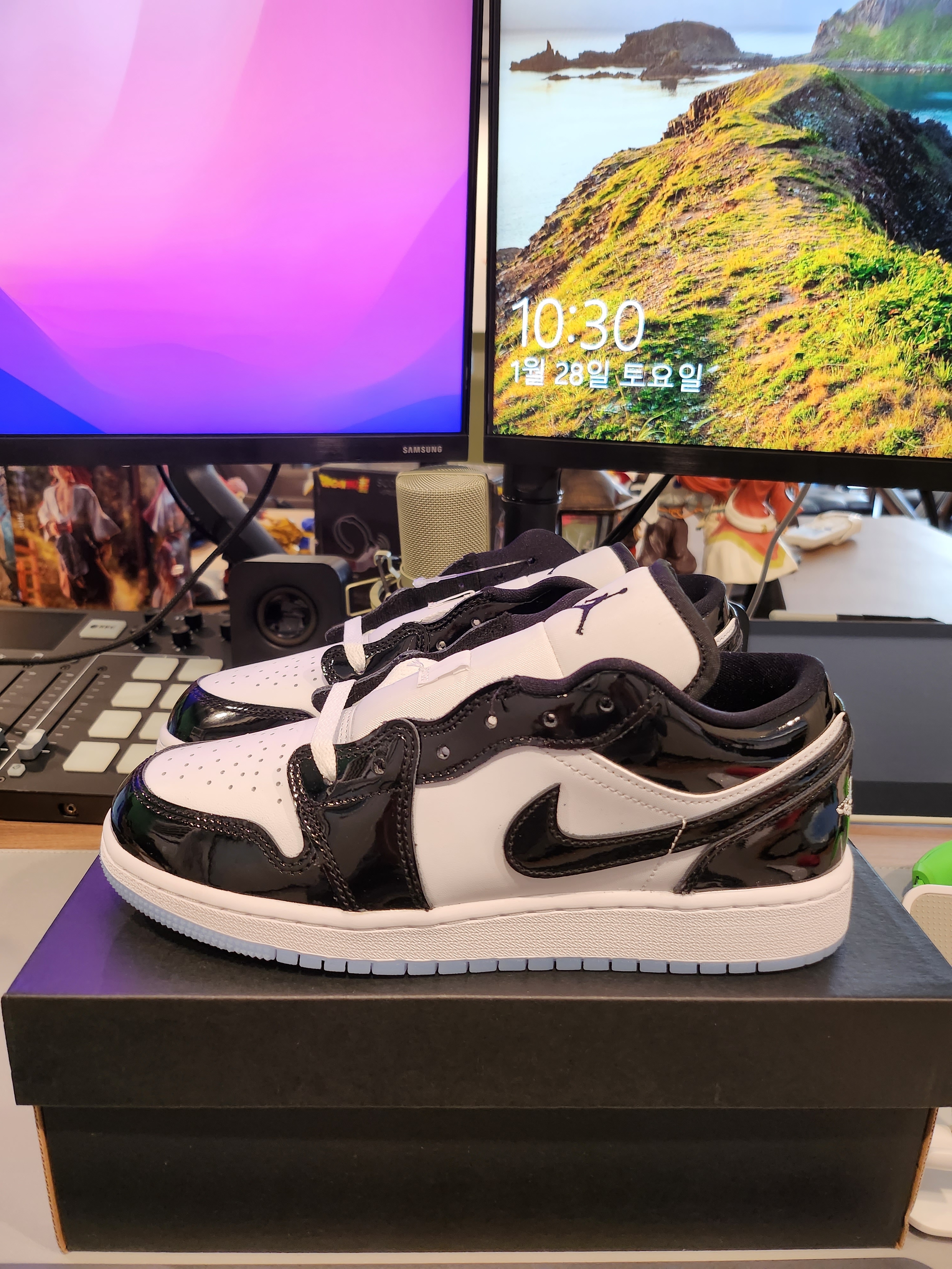 Jordan 1 Low SE Concord 착용 스타일